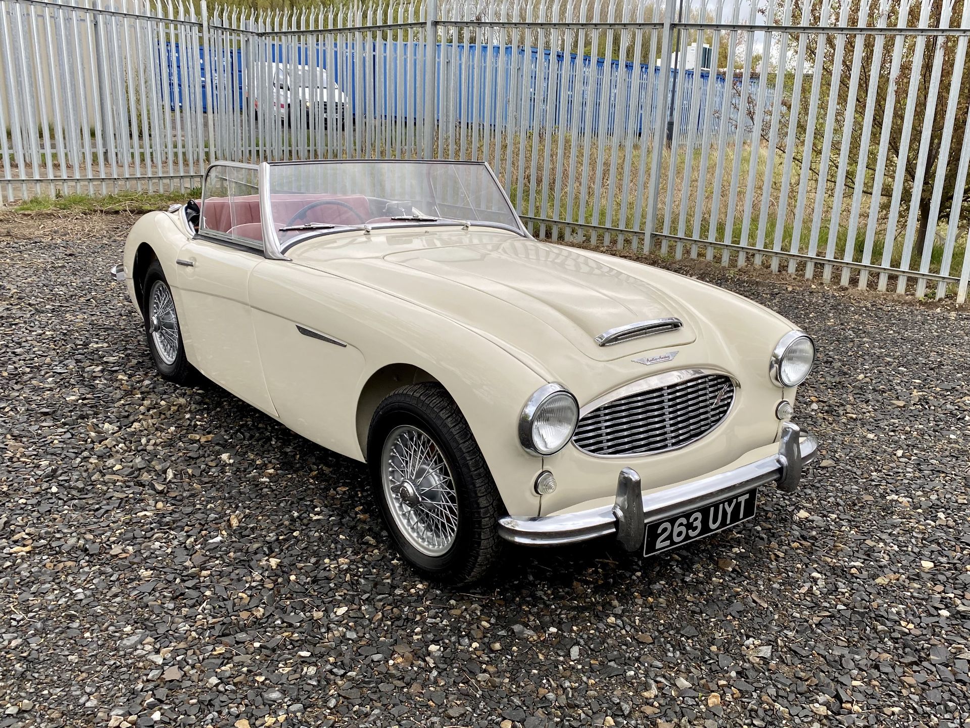 Austin Healey 100-6