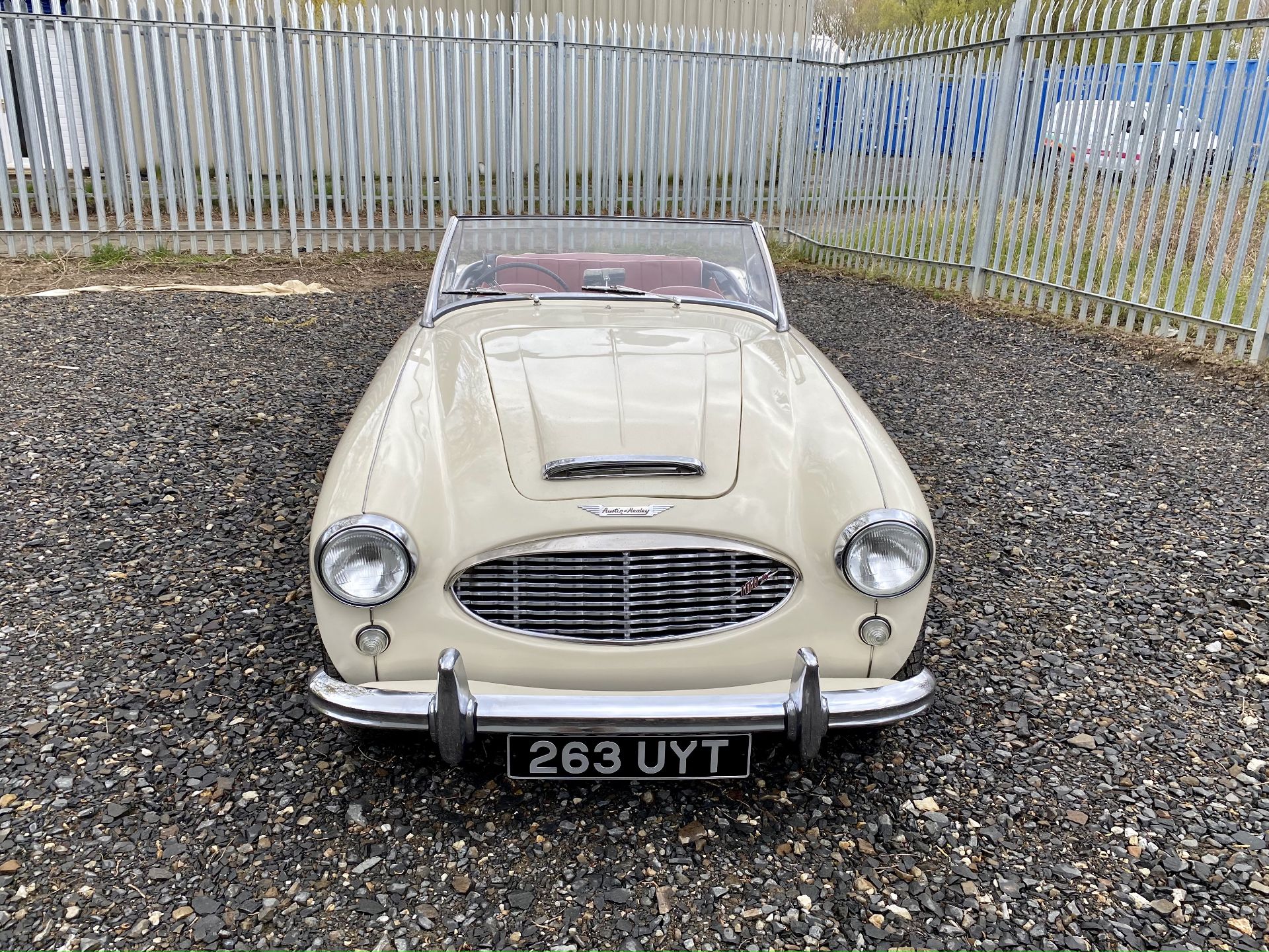 Austin Healey 100-6 - Image 30 of 64