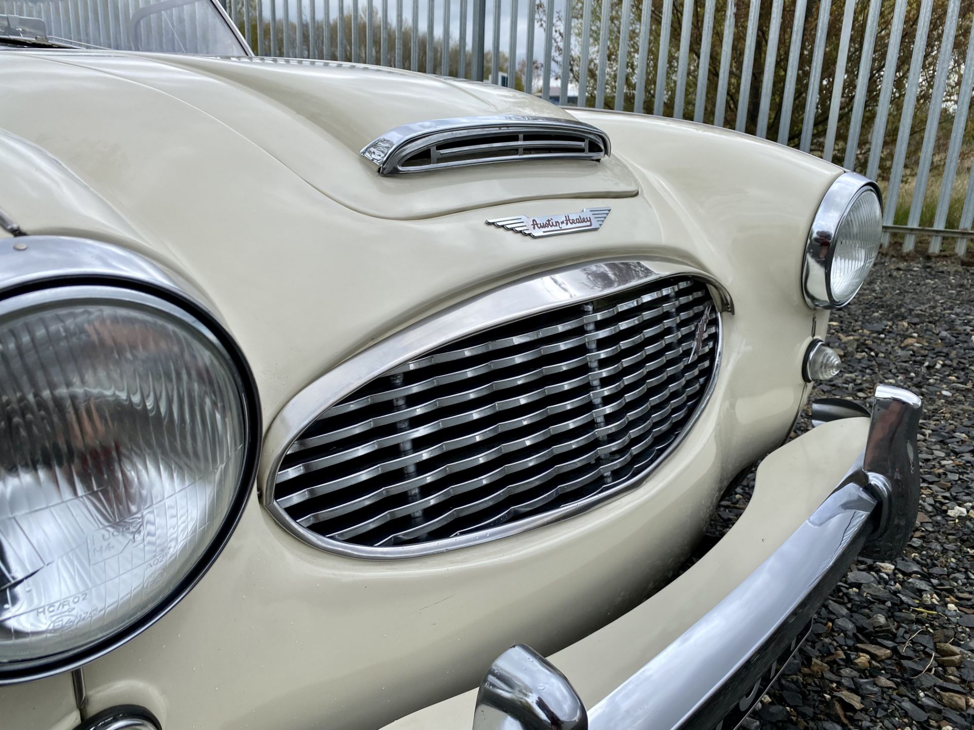 Austin Healey 100-6 - Image 44 of 64