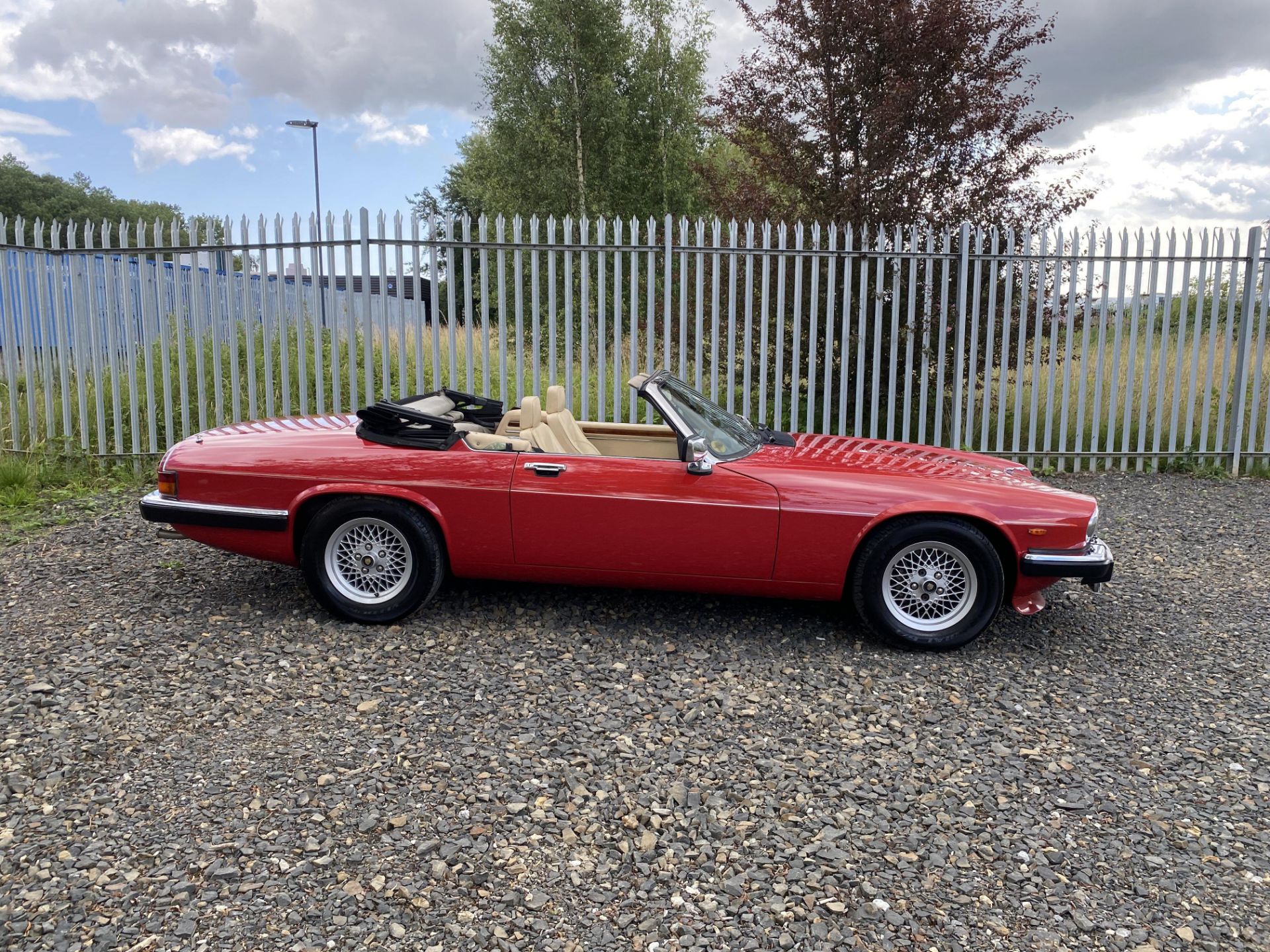 Jaguar XJS V12 Convertible - Image 3 of 46