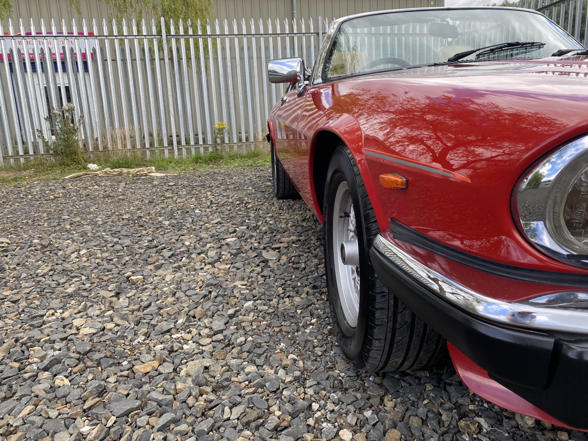 Jaguar XJS V12 Convertible - Image 15 of 46