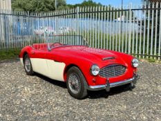 Austin Healey 100-6