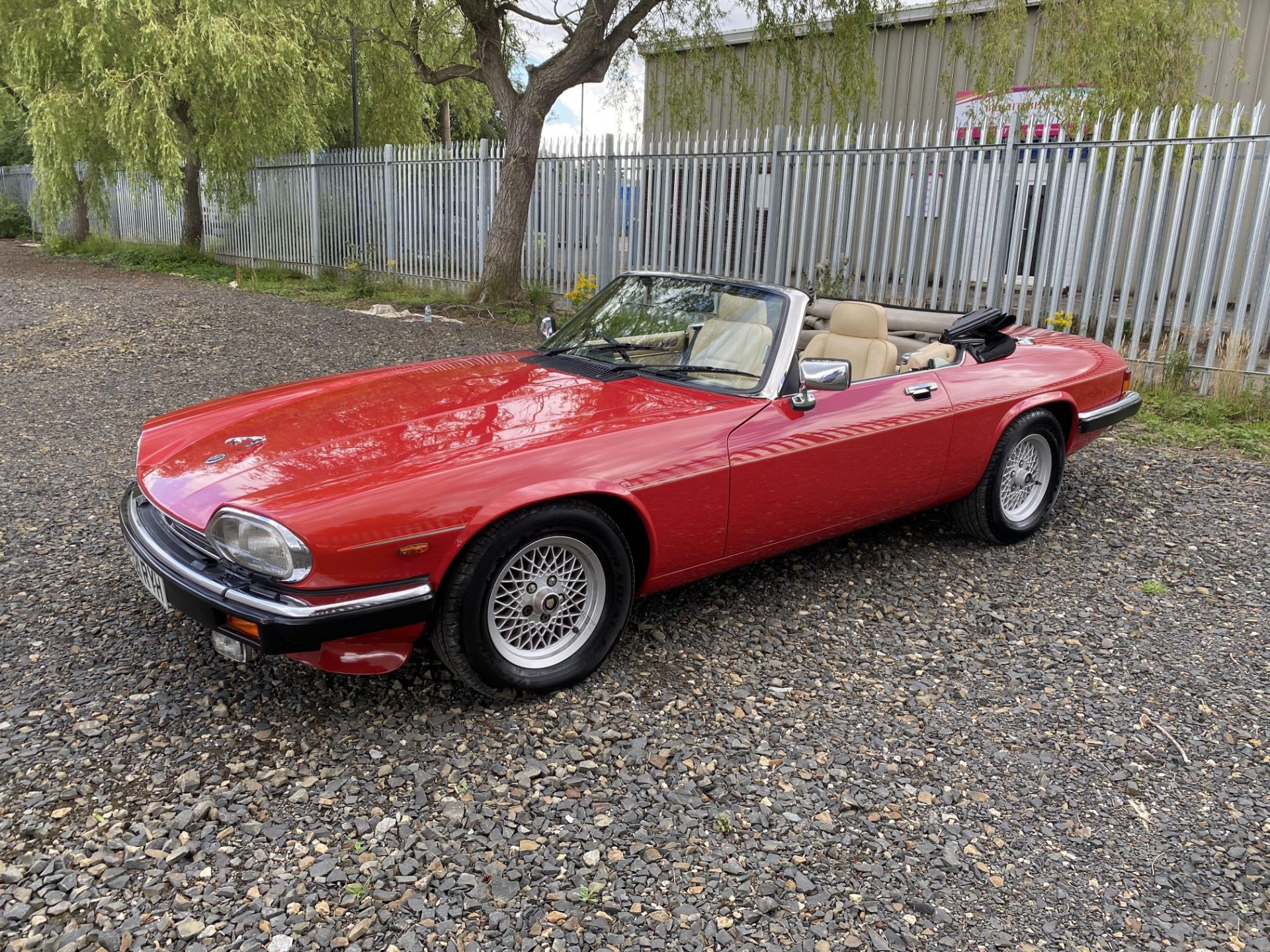 Jaguar XJS V12 Convertible - Image 12 of 46