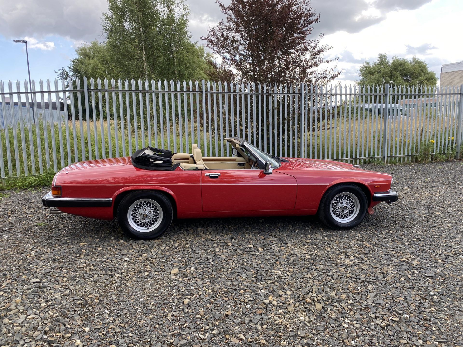 Jaguar XJS V12 Convertible - Image 4 of 46