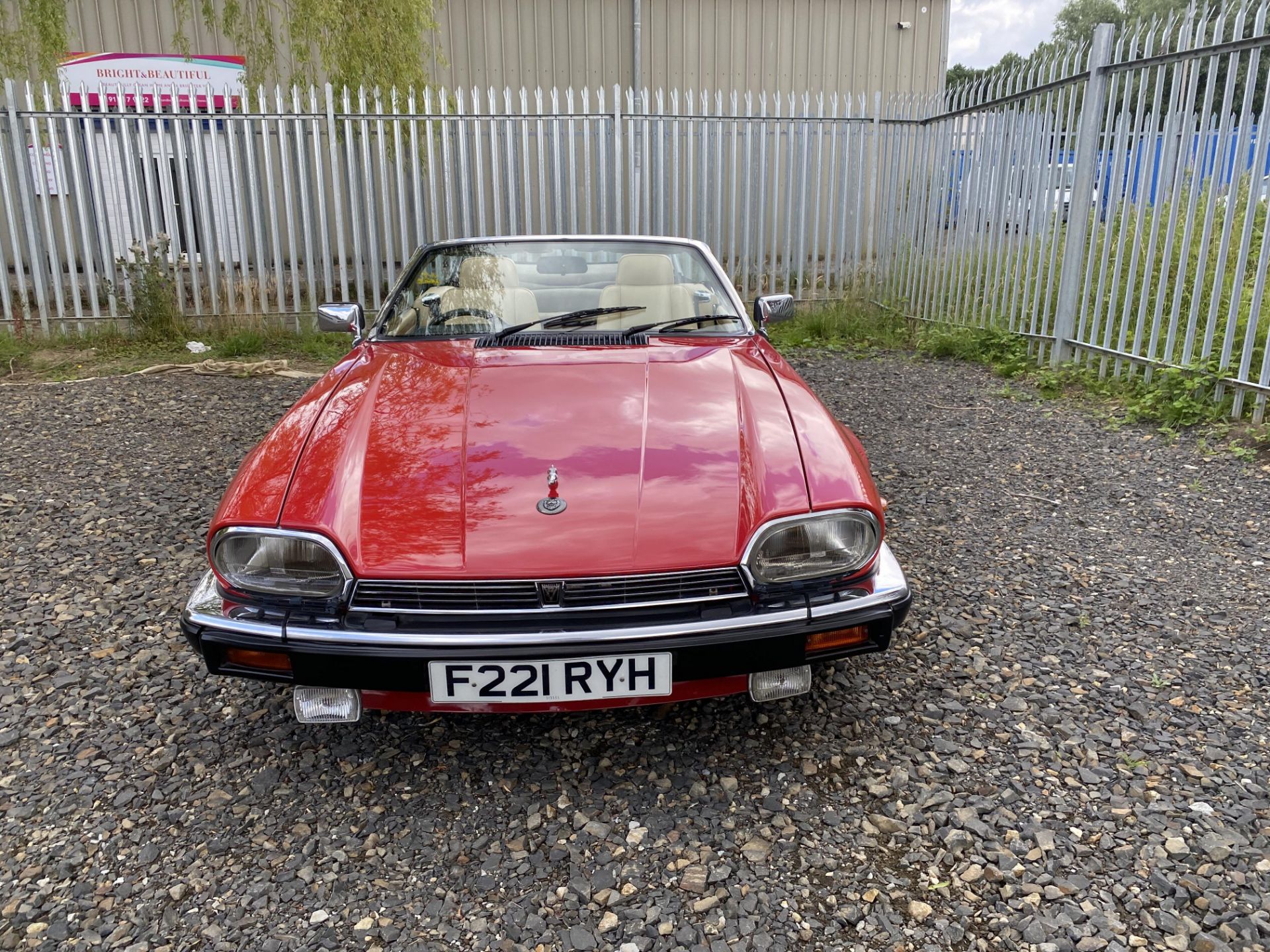 Jaguar XJS V12 Convertible - Image 14 of 46