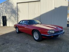 Jaguar XJS 3.6