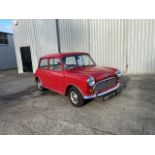 Austin Mini Deluxe