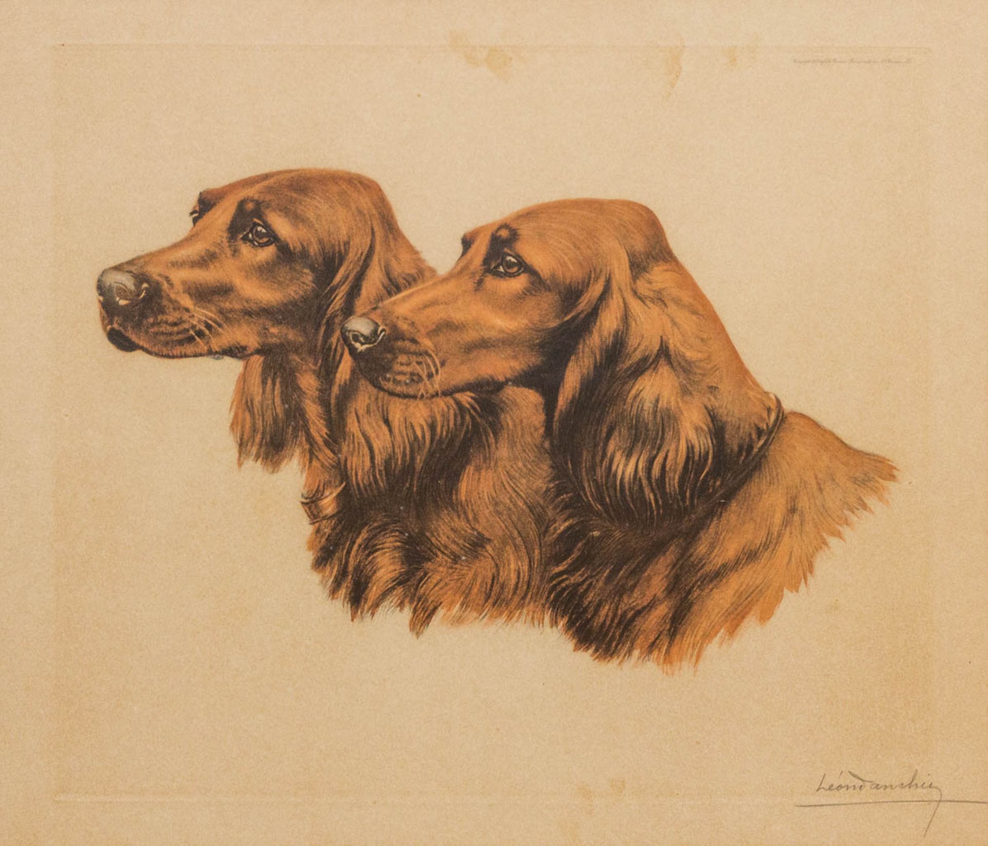 Léon DANCHIN (1887-1938) A collection of 2 framed etchings with 'Irish Setters and a spaniel'. - Bild 4 aus 12