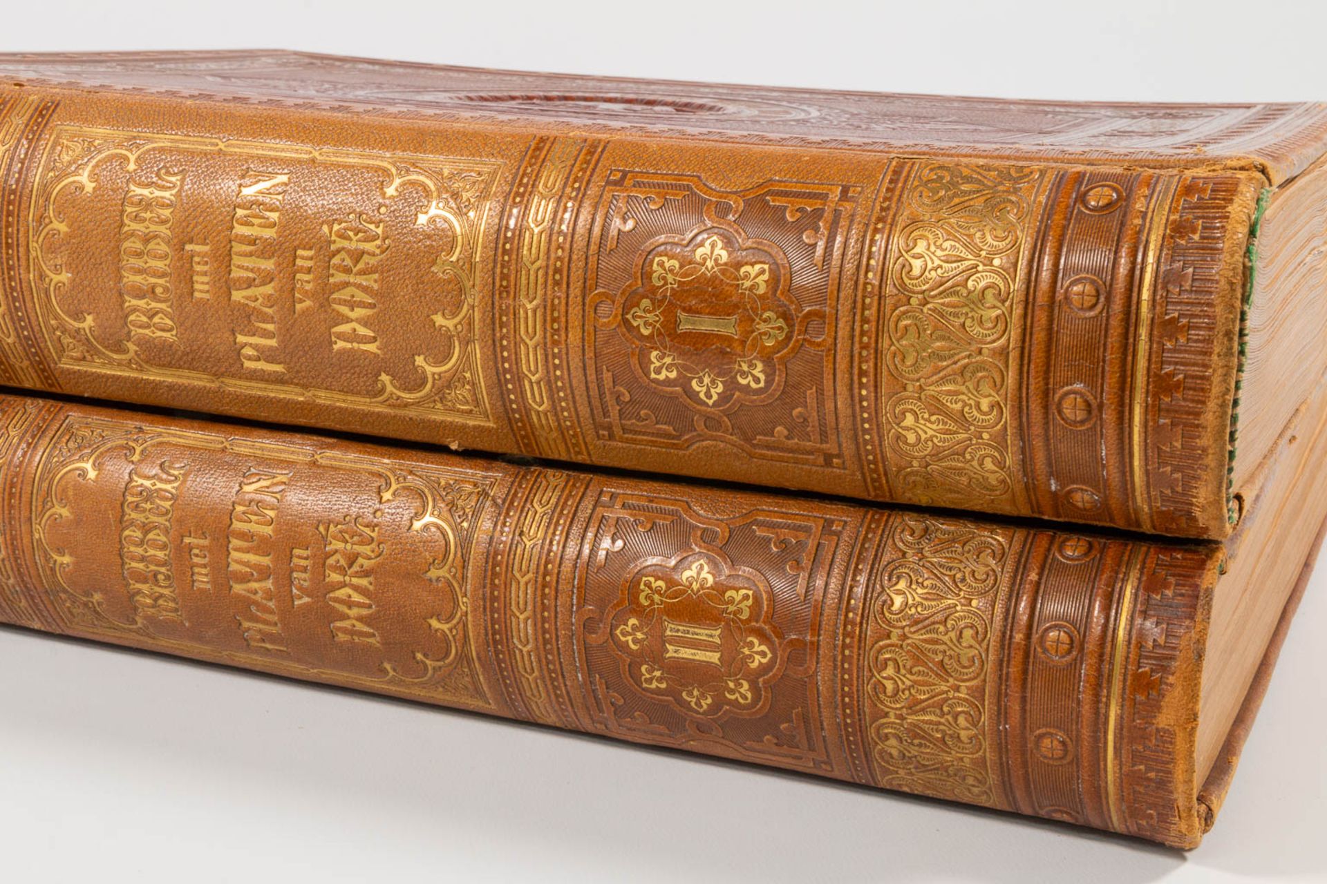 A pair of bibles 'The holy writing', the old and new testament, with 200 images by Gustave Doré. - Image 8 of 15