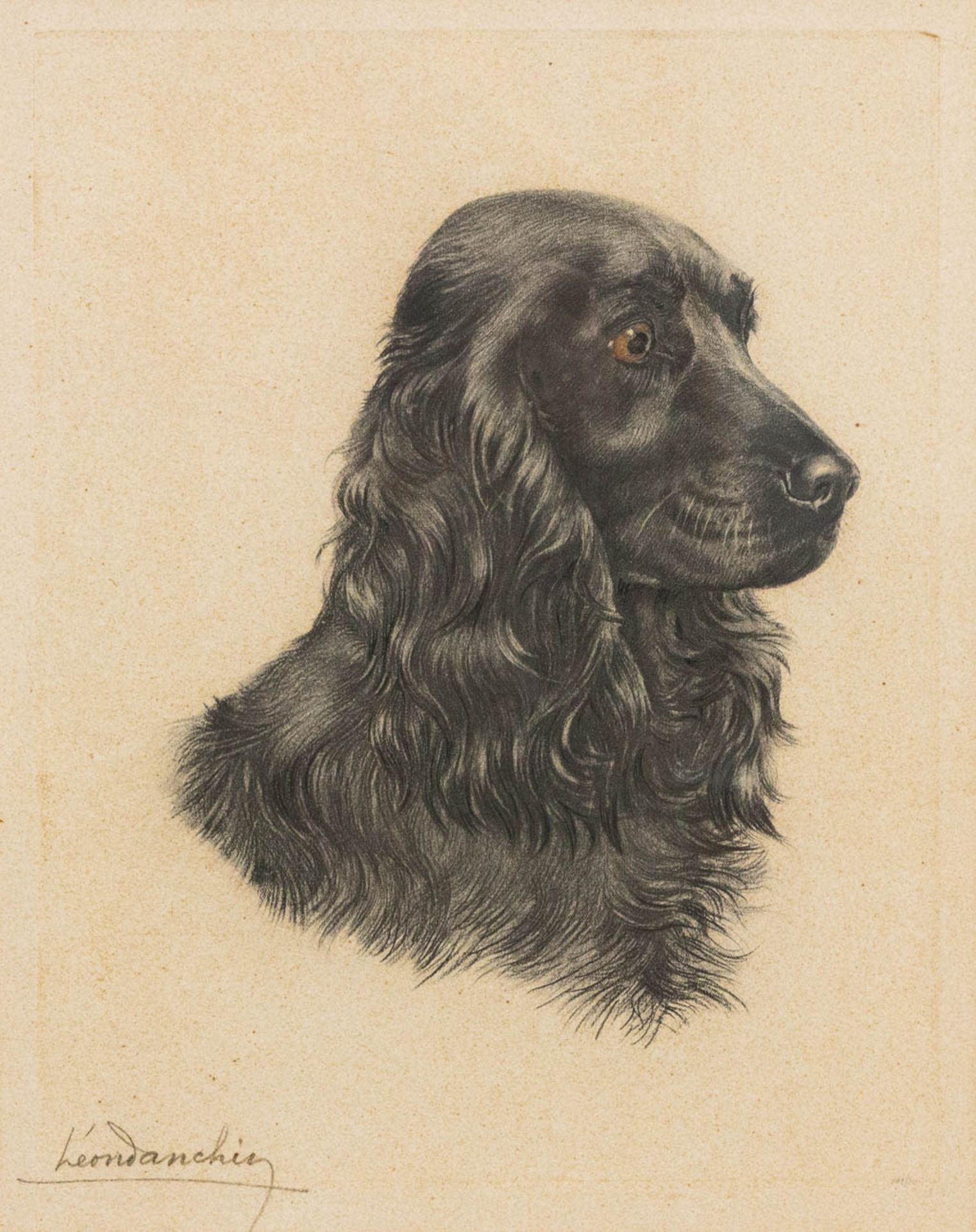 Léon DANCHIN (1887-1938) A collection of 2 framed etchings with 'Irish Setters and a spaniel'. - Bild 8 aus 12