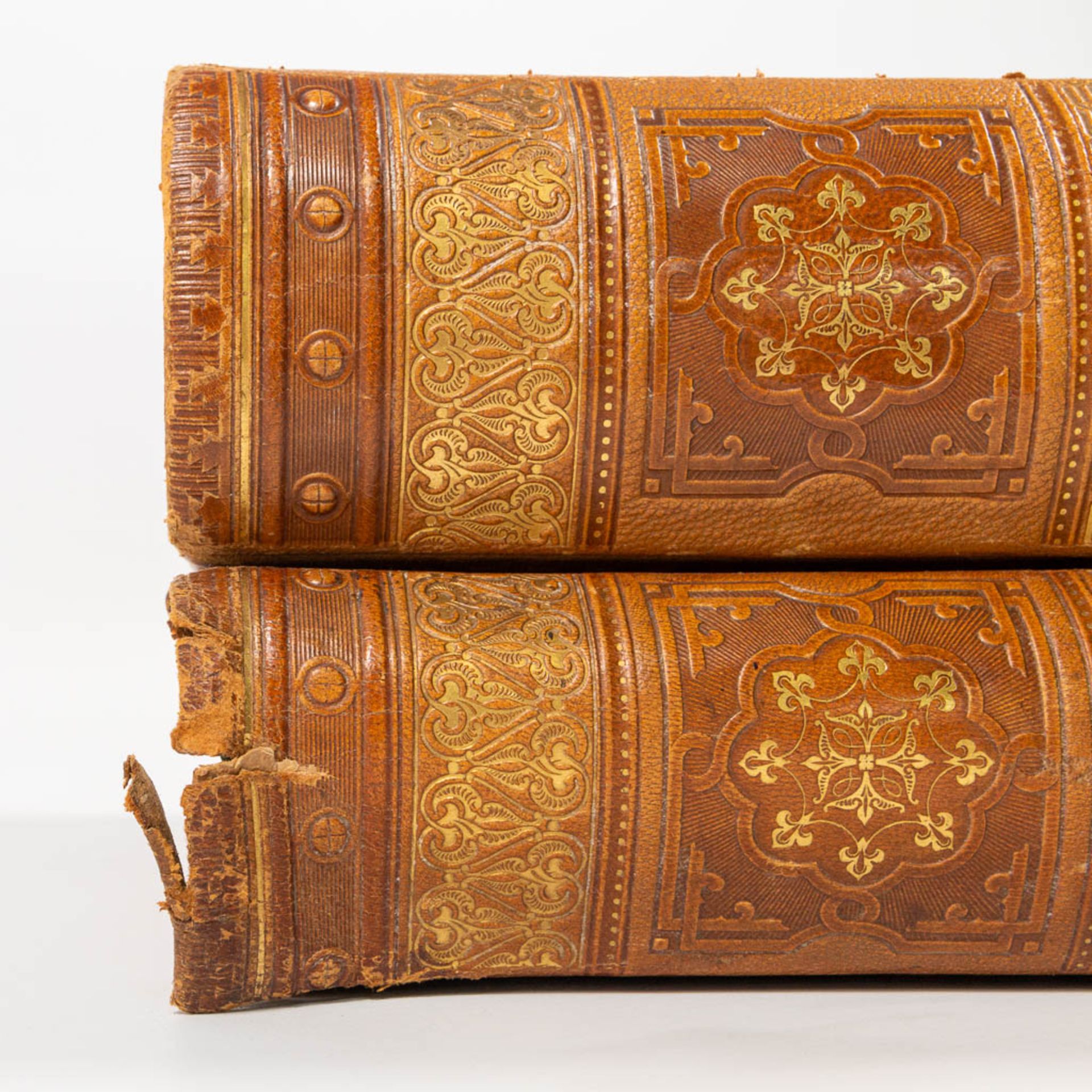 A pair of bibles 'The holy writing', the old and new testament, with 200 images by Gustave Doré. - Image 7 of 15