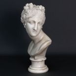 An imposing and beautiful bust of a lady, sculptured in white Carrara marble and marked G. Pettini a