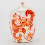 A Chinese porcelain ginger jar with images of Foo dogs. 19th/20th century. (29 x 22 cm)