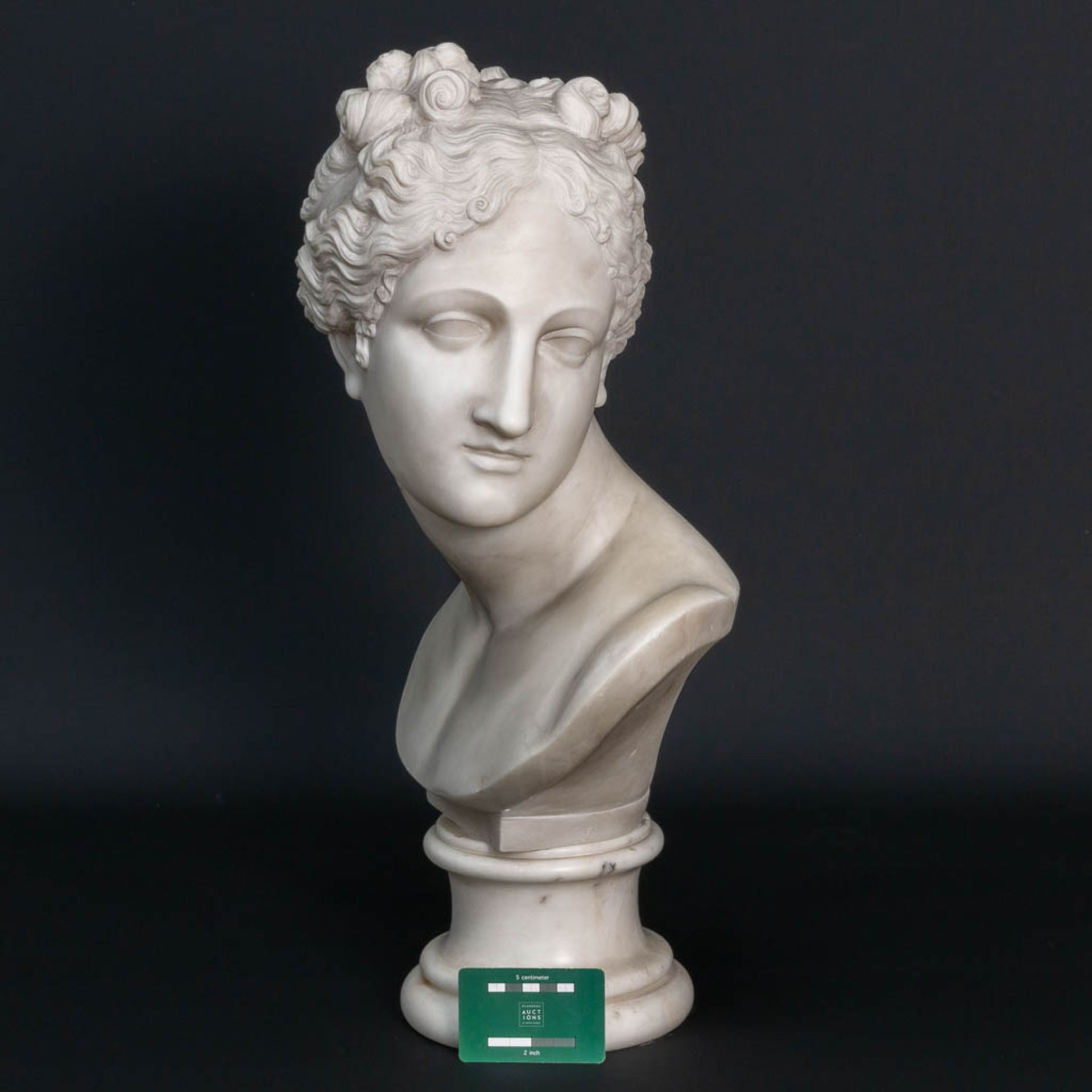 An imposing and beautiful bust of a lady, sculptured in white Carrara marble and marked G. Pettini a - Bild 2 aus 8