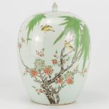 A ginger jar made of Chinese porcelain with images of birds and branches. 19th/20th century. (27 x 2