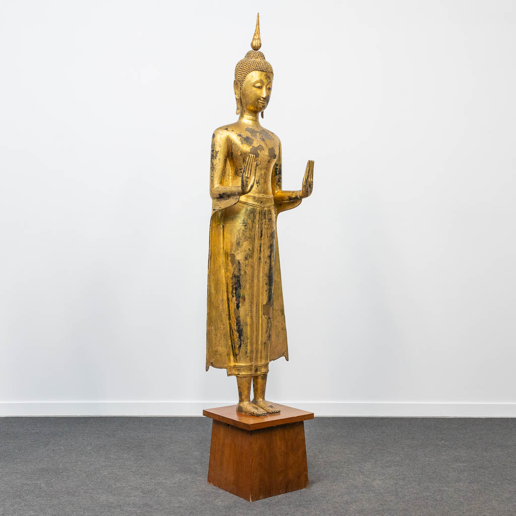 An antique buddha made of bronze and standing on a wood base. (28 x 48 x 180 cm) - Image 9 of 21