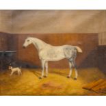 Henry MARK (XX) 'Stella' a painting of a horse and dog, oil on canvas. (60 x 50 cm)