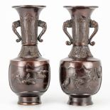 A pair of vases made of bronze with bird decor, Japan Meiji, 19th century. (30 x 12,5 cm)