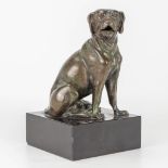 A seated dog, made of bronze and mounted on a black marble base. Marked: 'Compagnie des bronzes de B