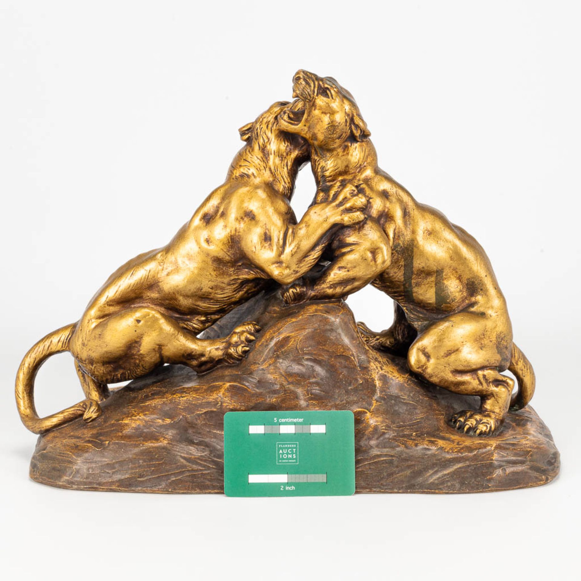 FAGOTTO (XIX-XX) a terracotta statue of 2 fighting lions. - Image 3 of 12
