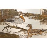 Al DORNISCH (1931) 'Lentegloed' a copper engraving, a view with ducks. 1982. (29 x 18 cm)