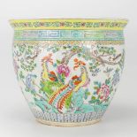 A large cache-pot made of Chinese porcelain and decorated with a forest view and Phoenix.