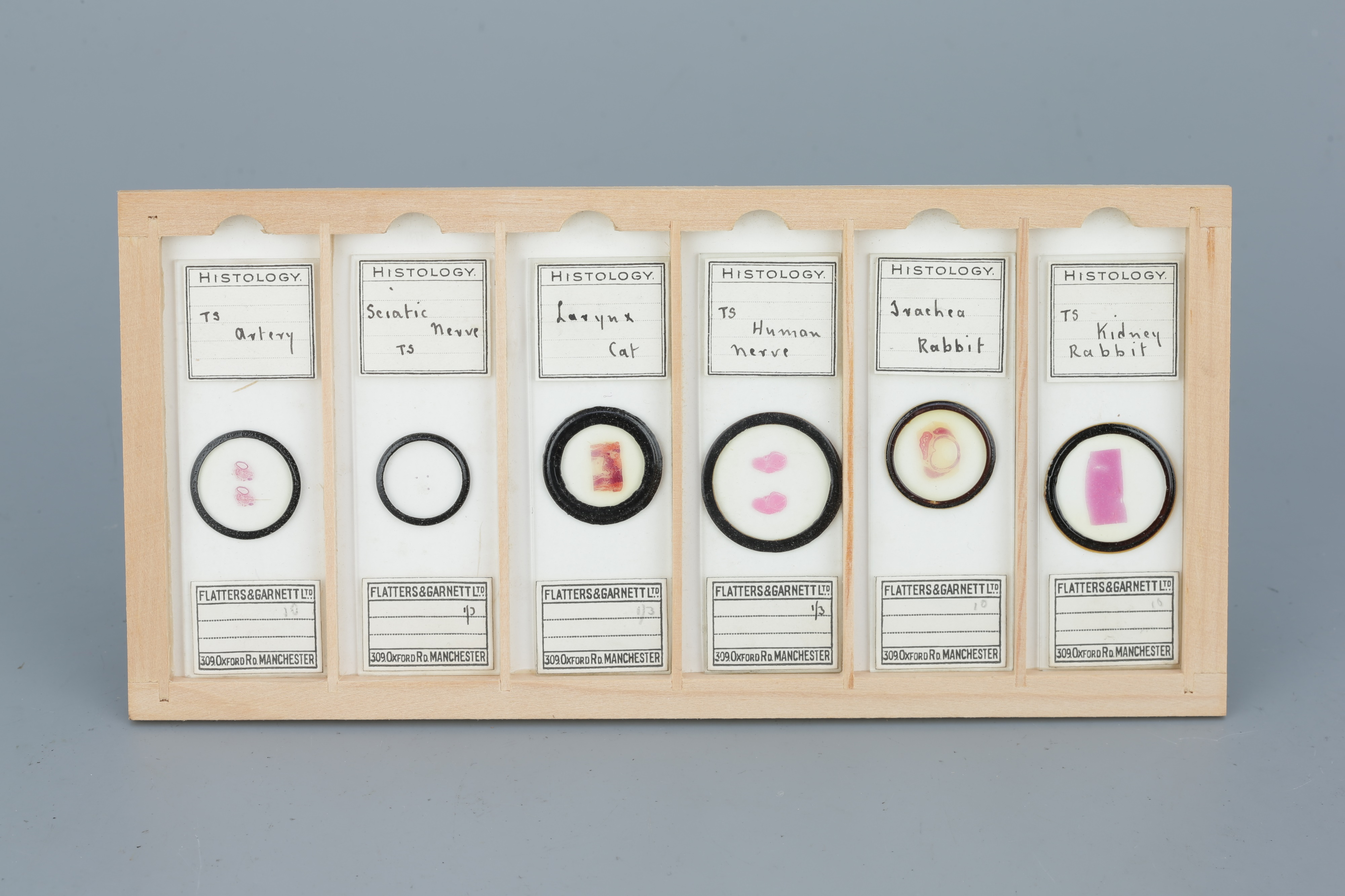 Two Cases of Microscope Slides, - Image 8 of 20