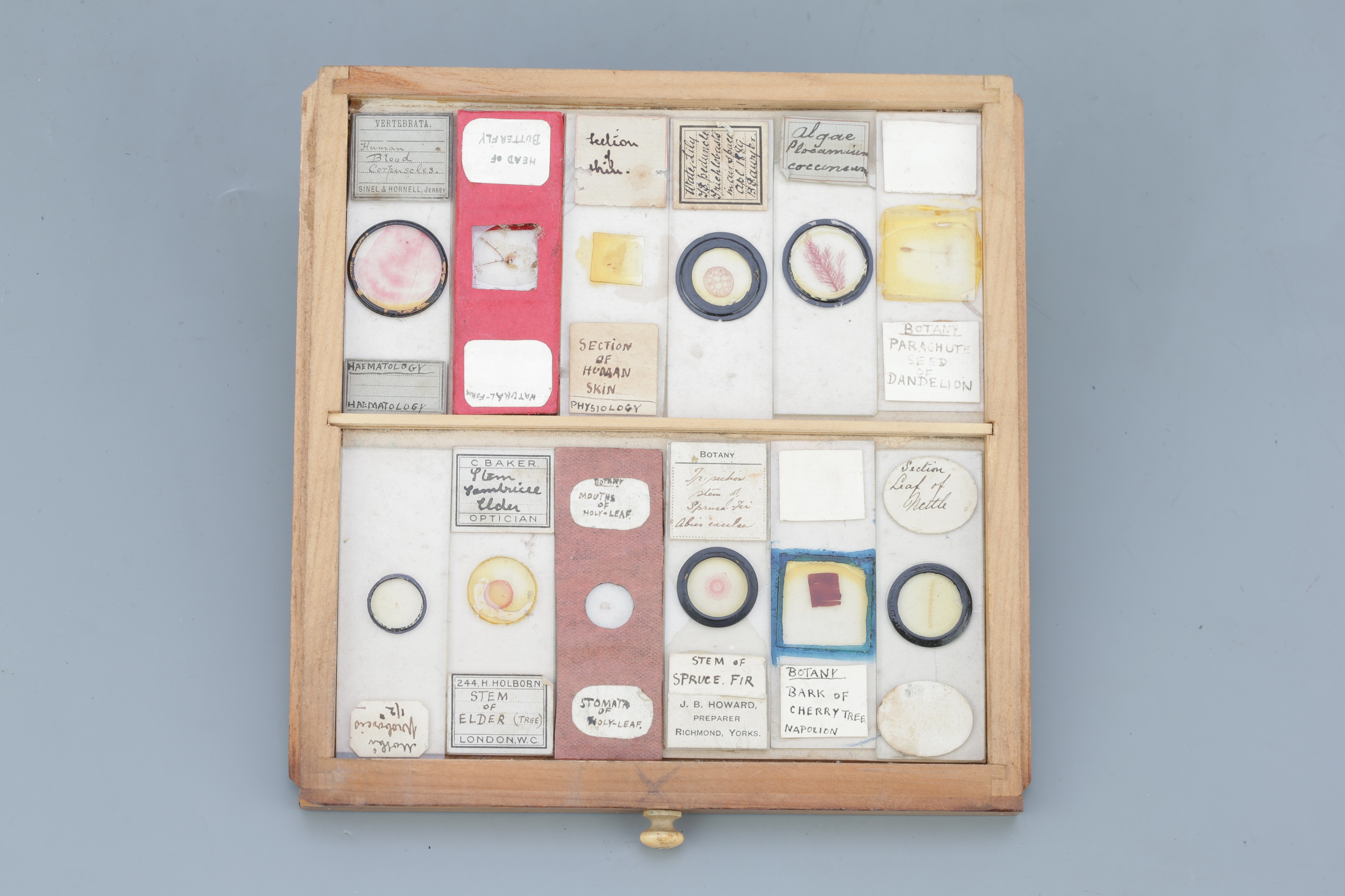 Small Cabinet of Microscope Slides, - Image 9 of 13