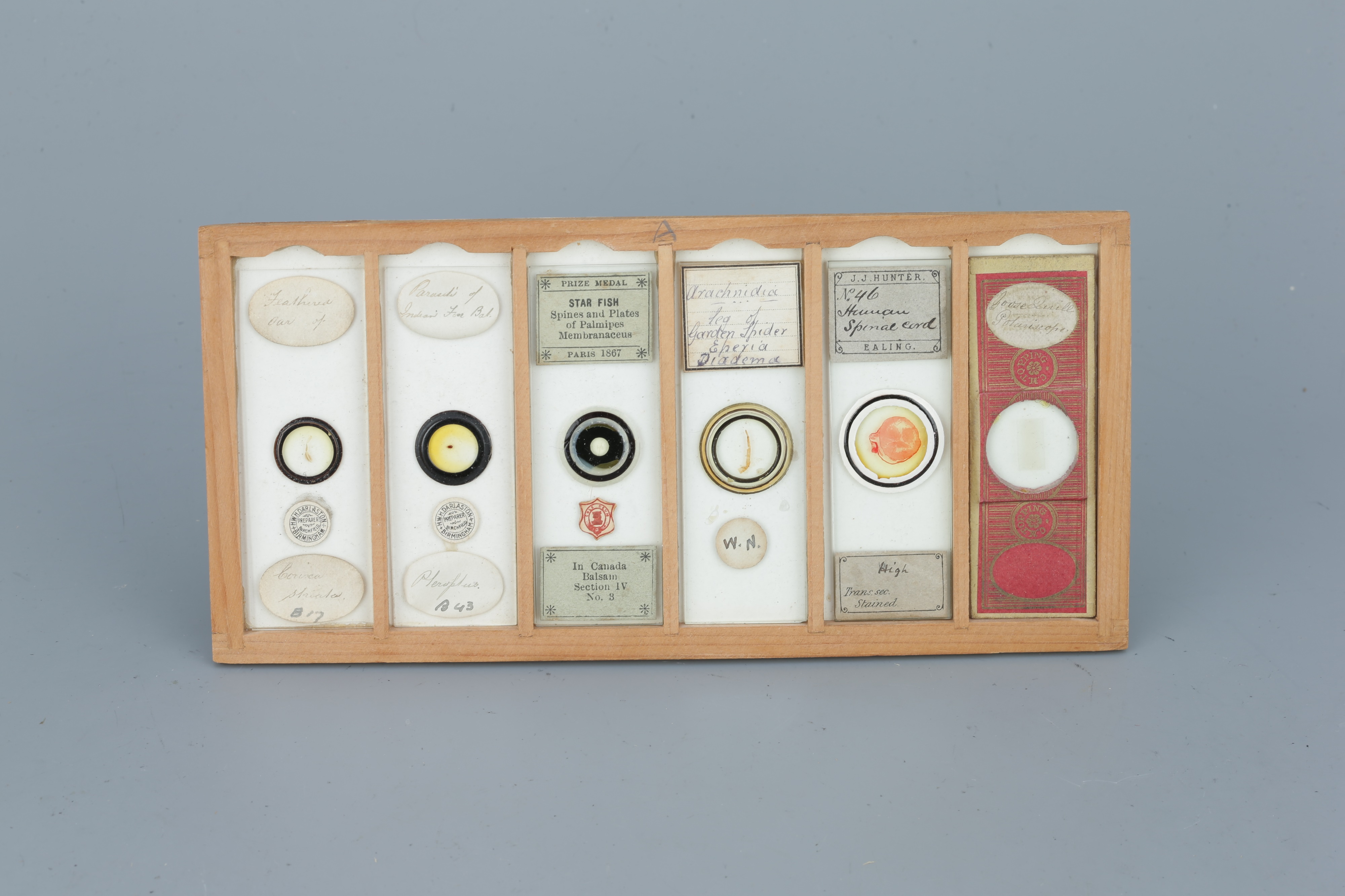 Two Cases of Microscope Slides, - Image 5 of 20