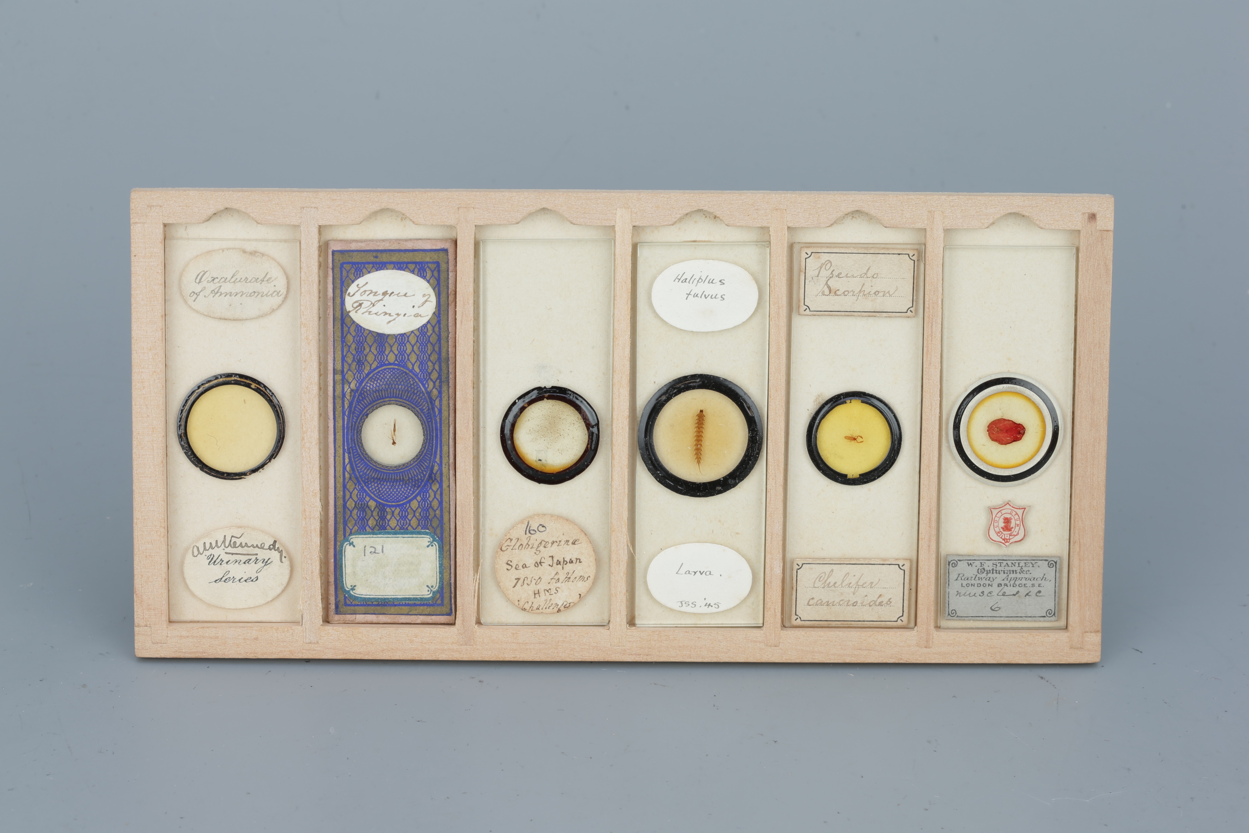 Two Cases of Microscope Slides, - Image 8 of 20