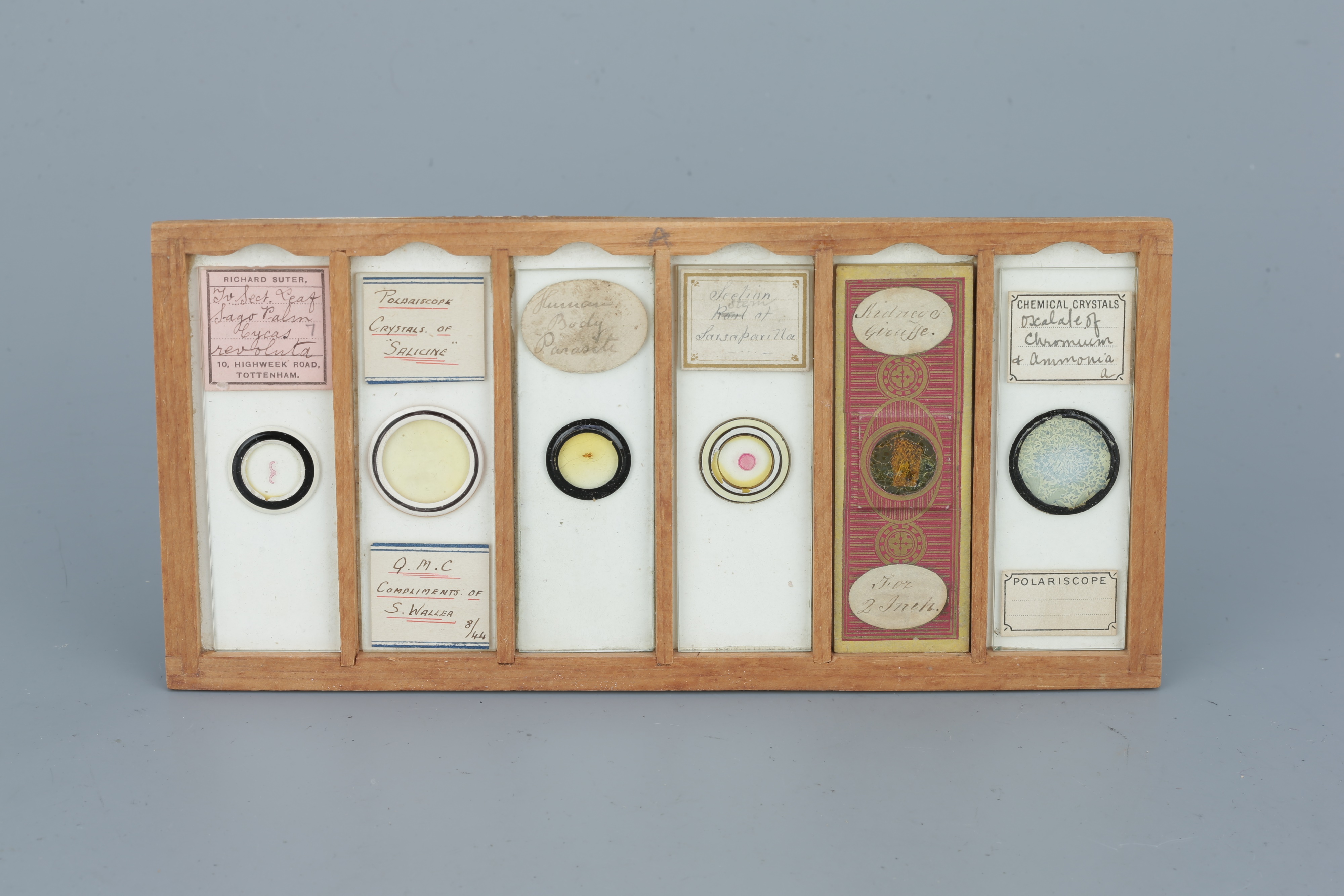 Two Cases of Microscope Slides, - Image 6 of 20