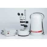 WILD Heerbrugg M5A Binocular Microscope,
