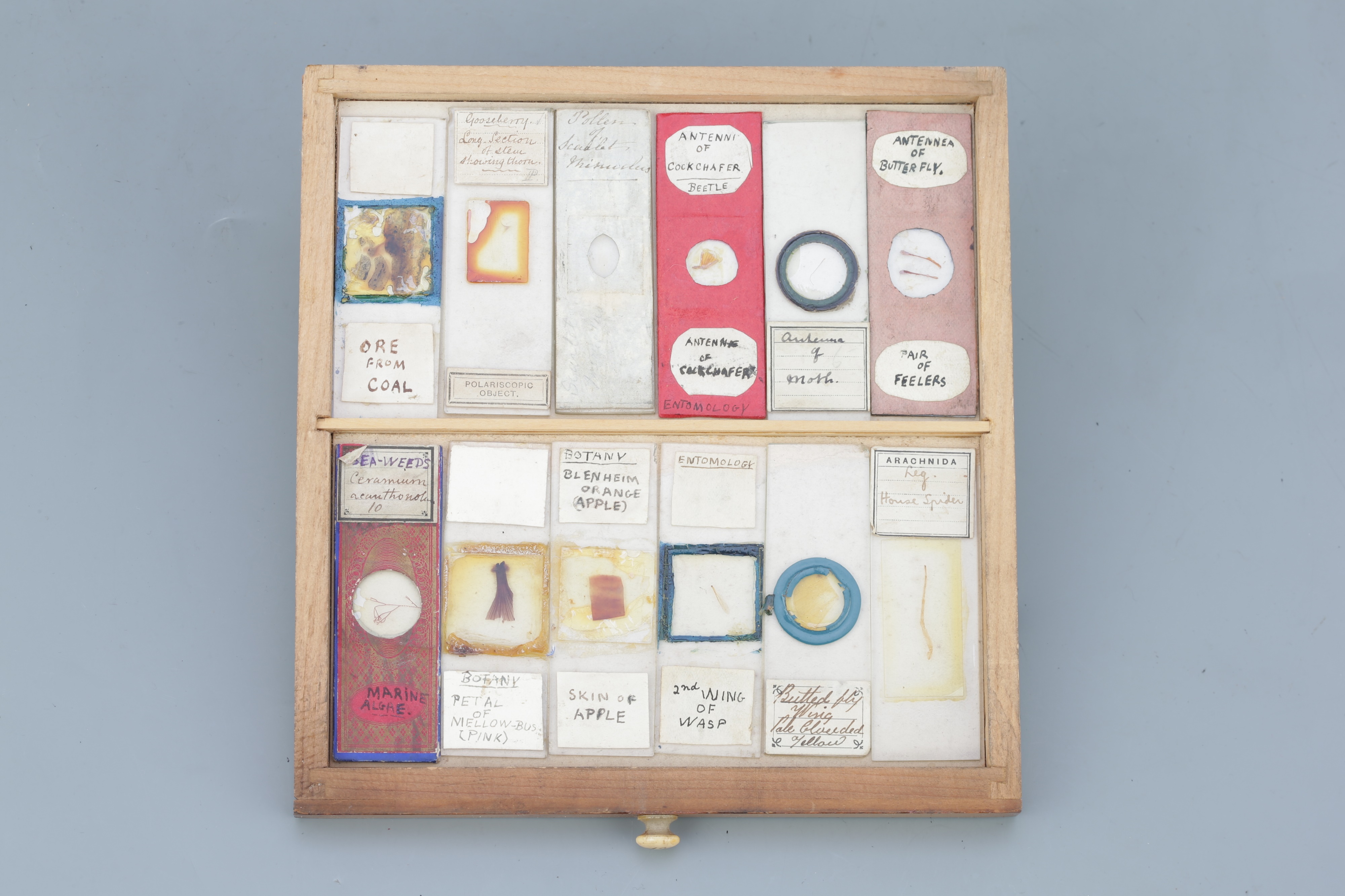 Small Cabinet of Microscope Slides, - Image 11 of 13