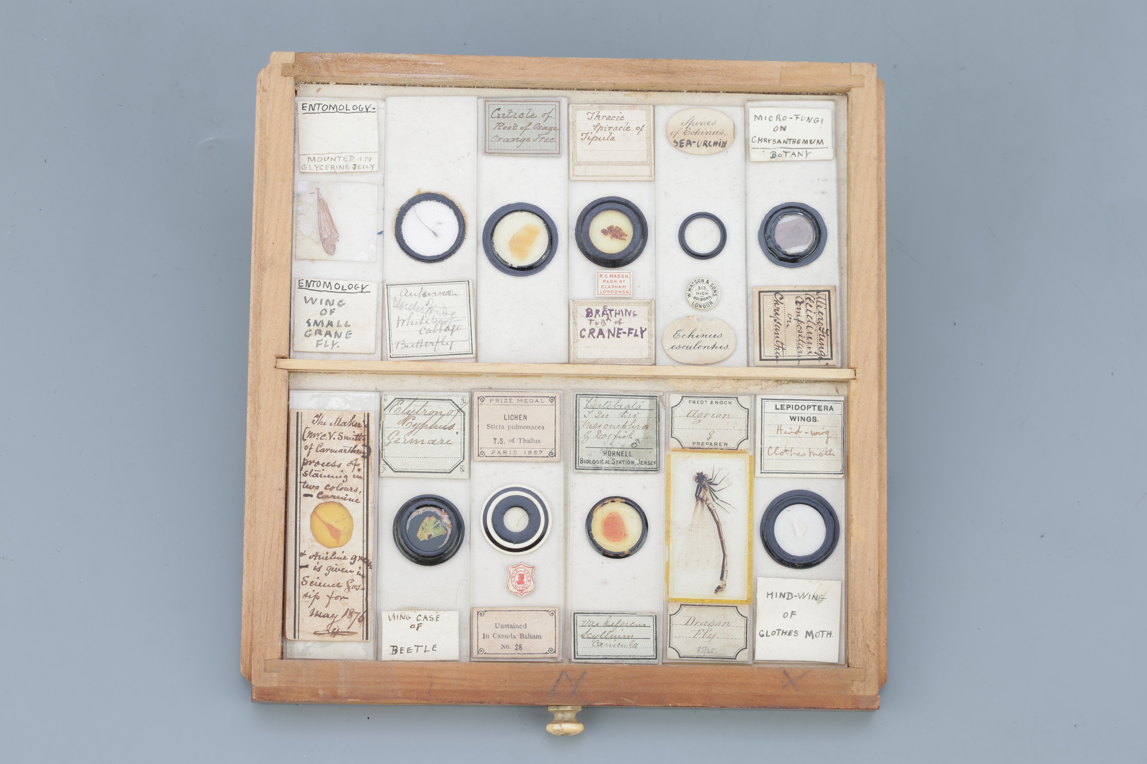 Small Cabinet of Microscope Slides, - Image 7 of 13
