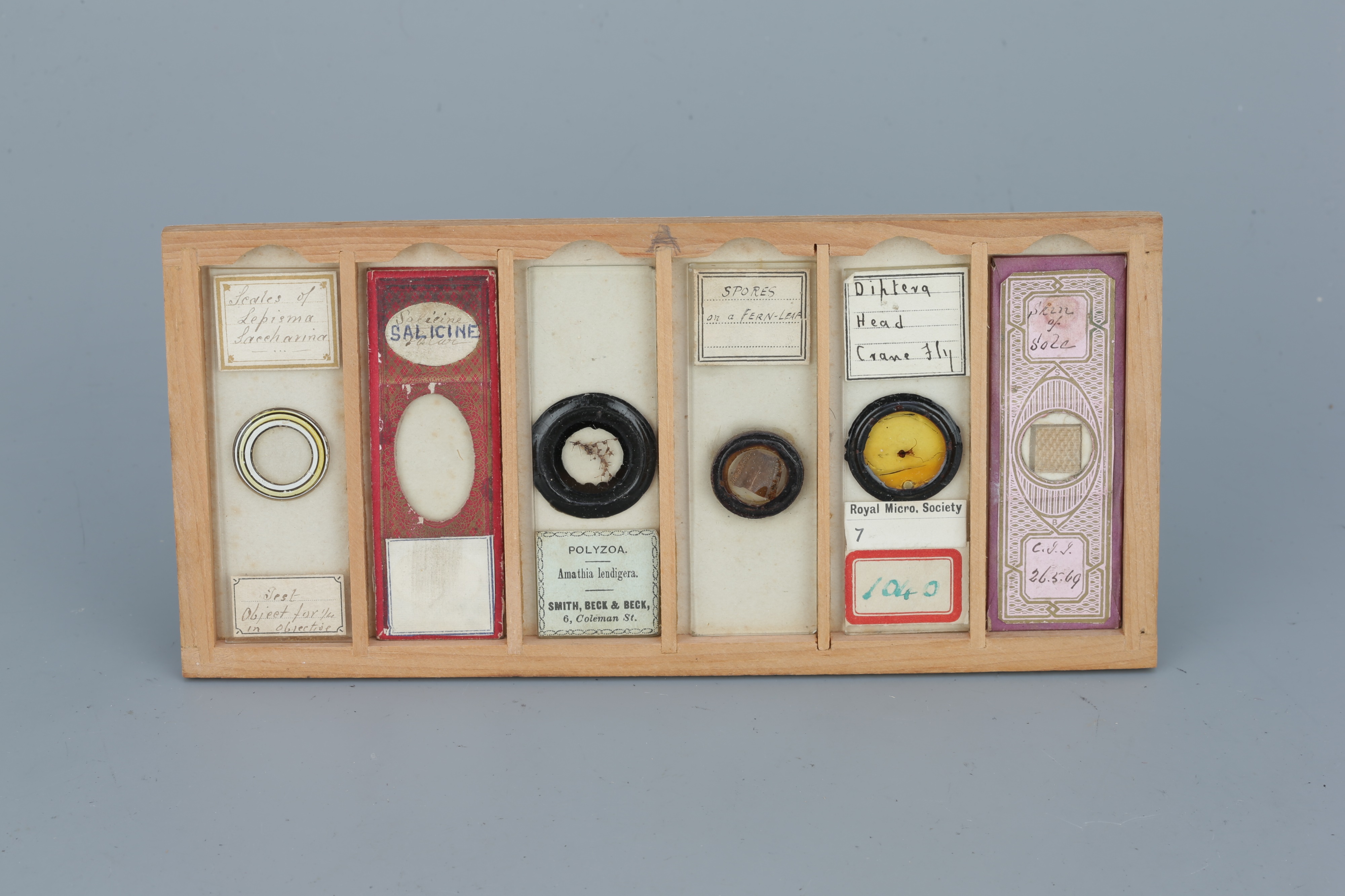 Two Cases of Microscope Slides, - Image 4 of 20