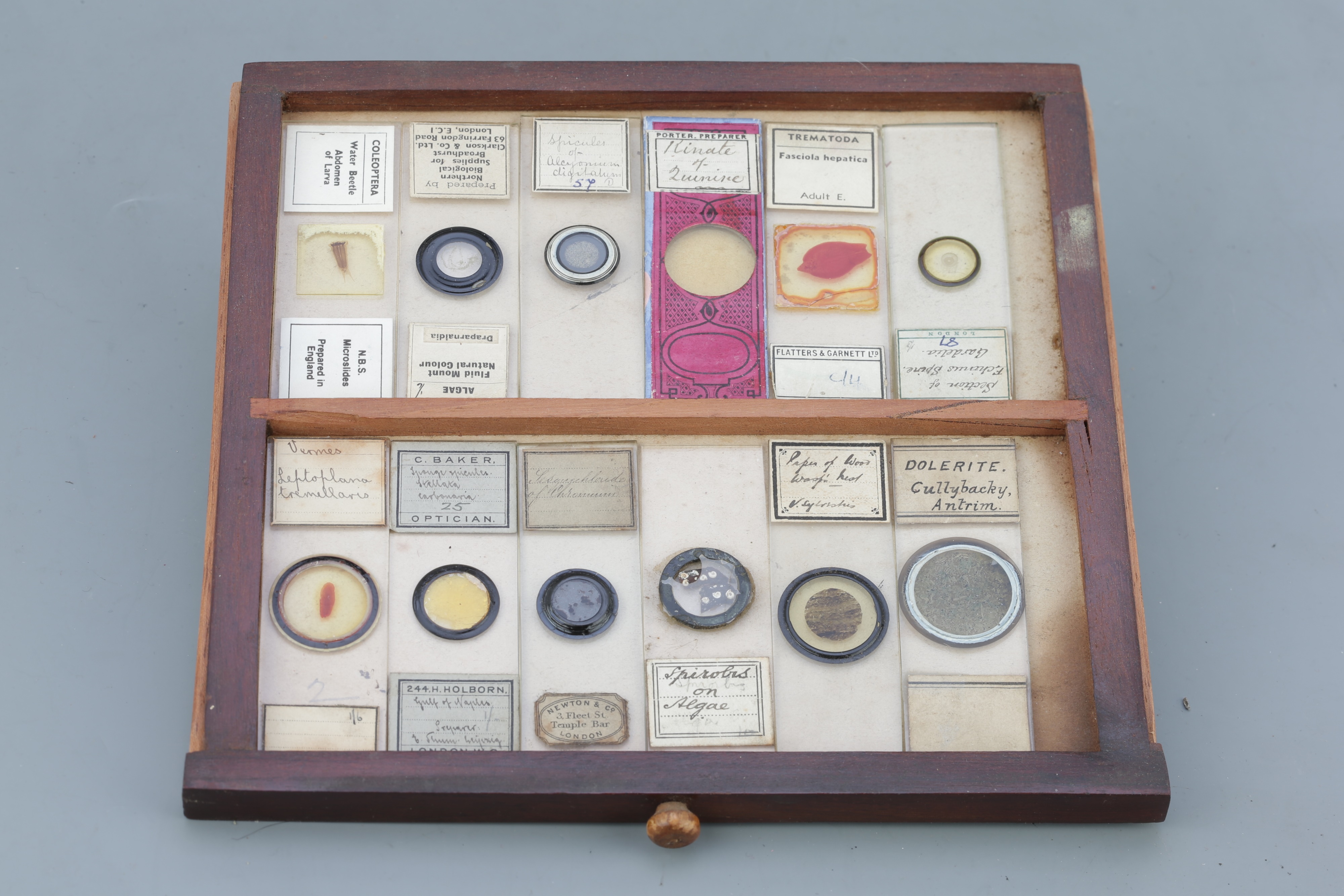 Microscope SlideCabinet & Slide Collection, - Image 5 of 15