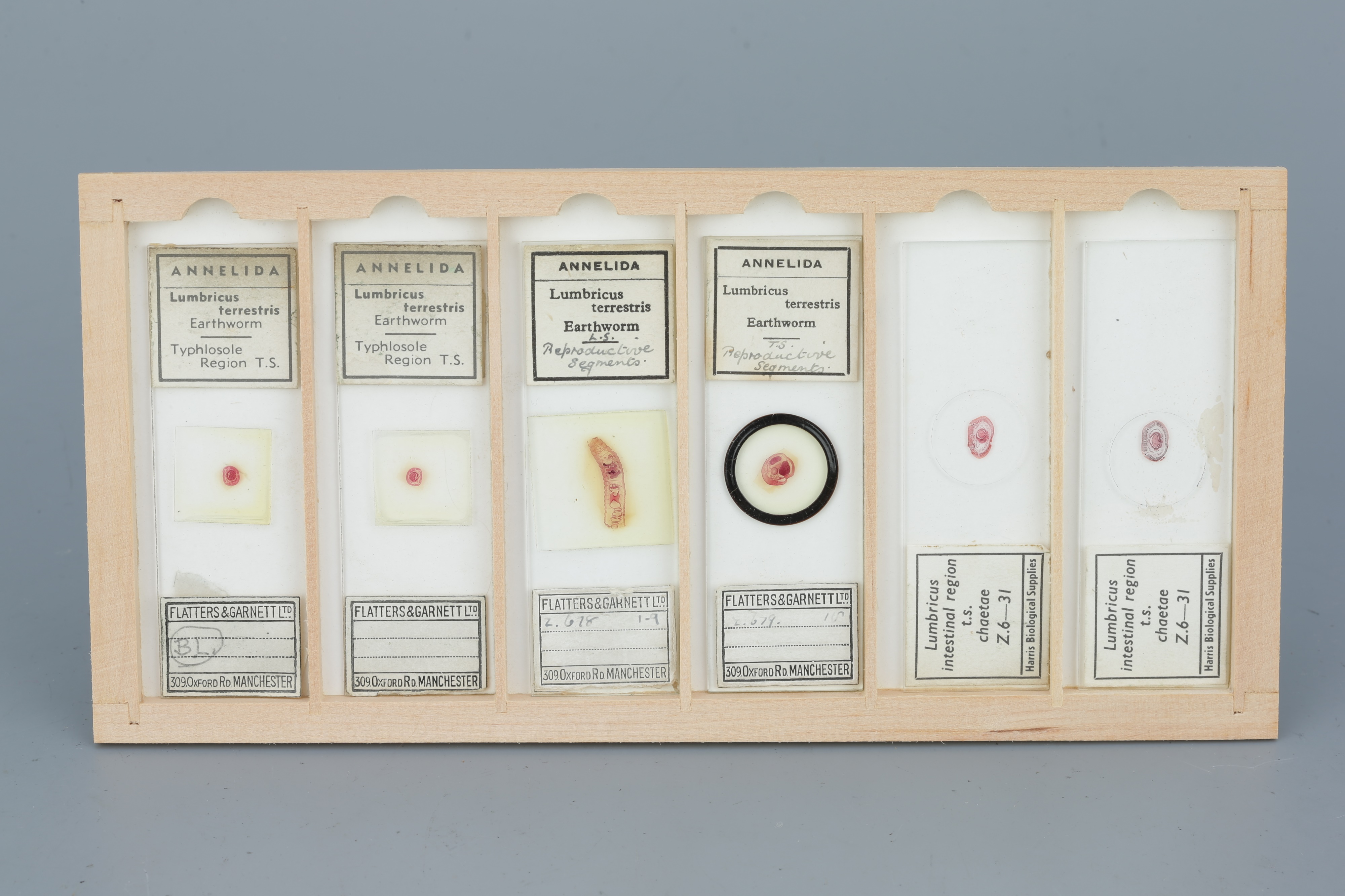 Two Cases of Microscope Slides, - Image 7 of 20