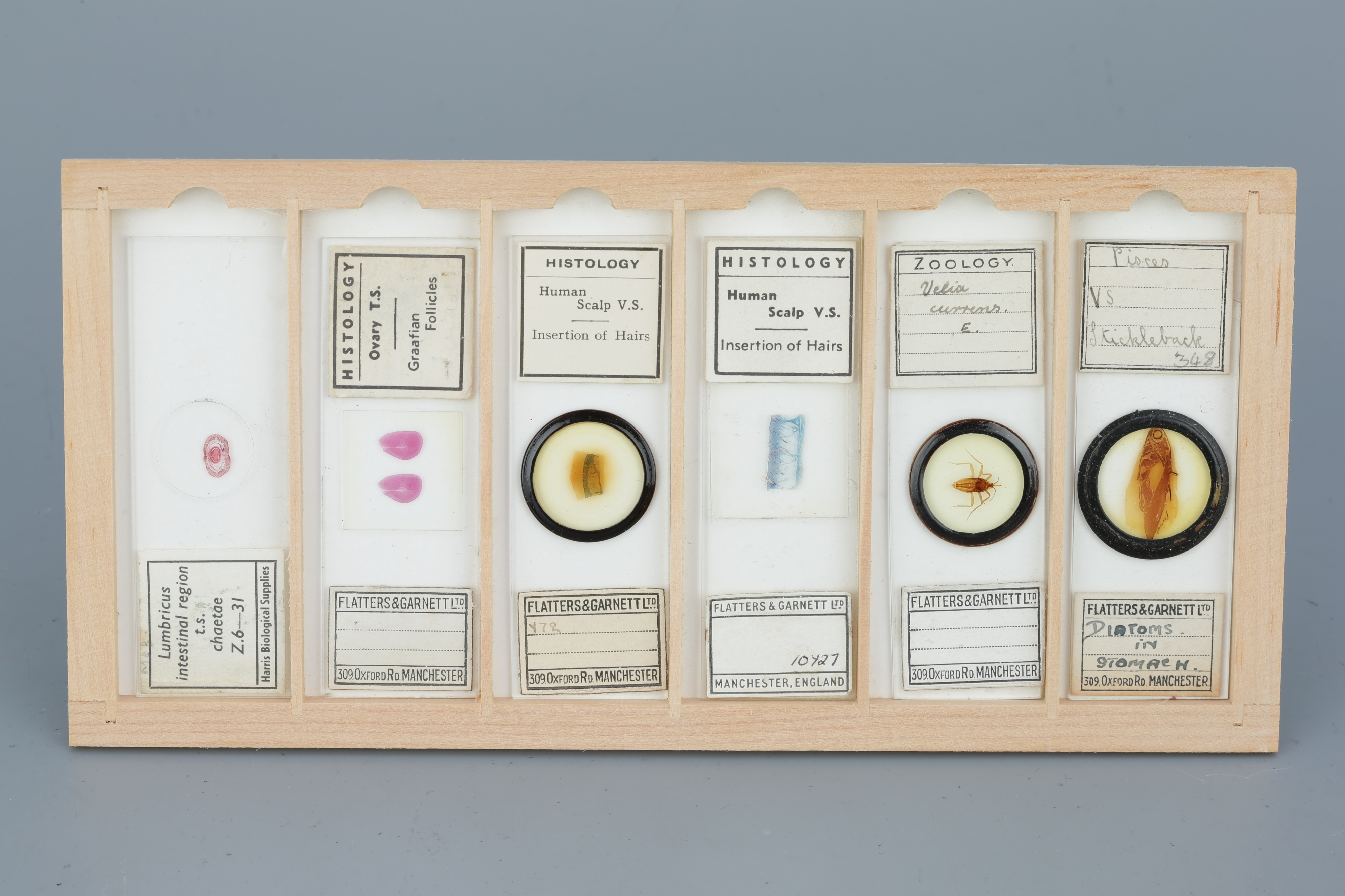 Two Cases of Microscope Slides, - Image 12 of 20