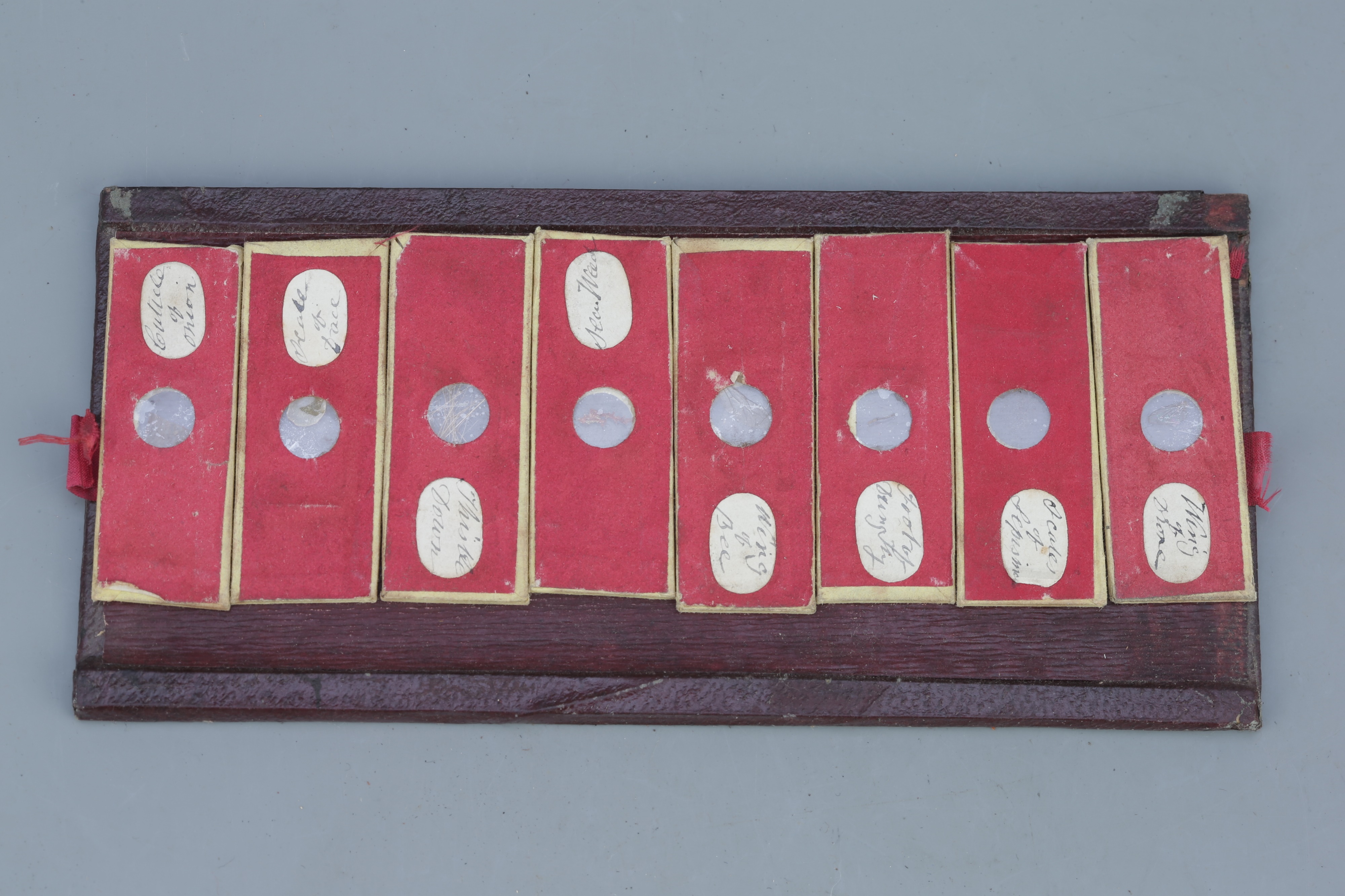 Early Leather Case of Microscope Slides, - Image 4 of 4