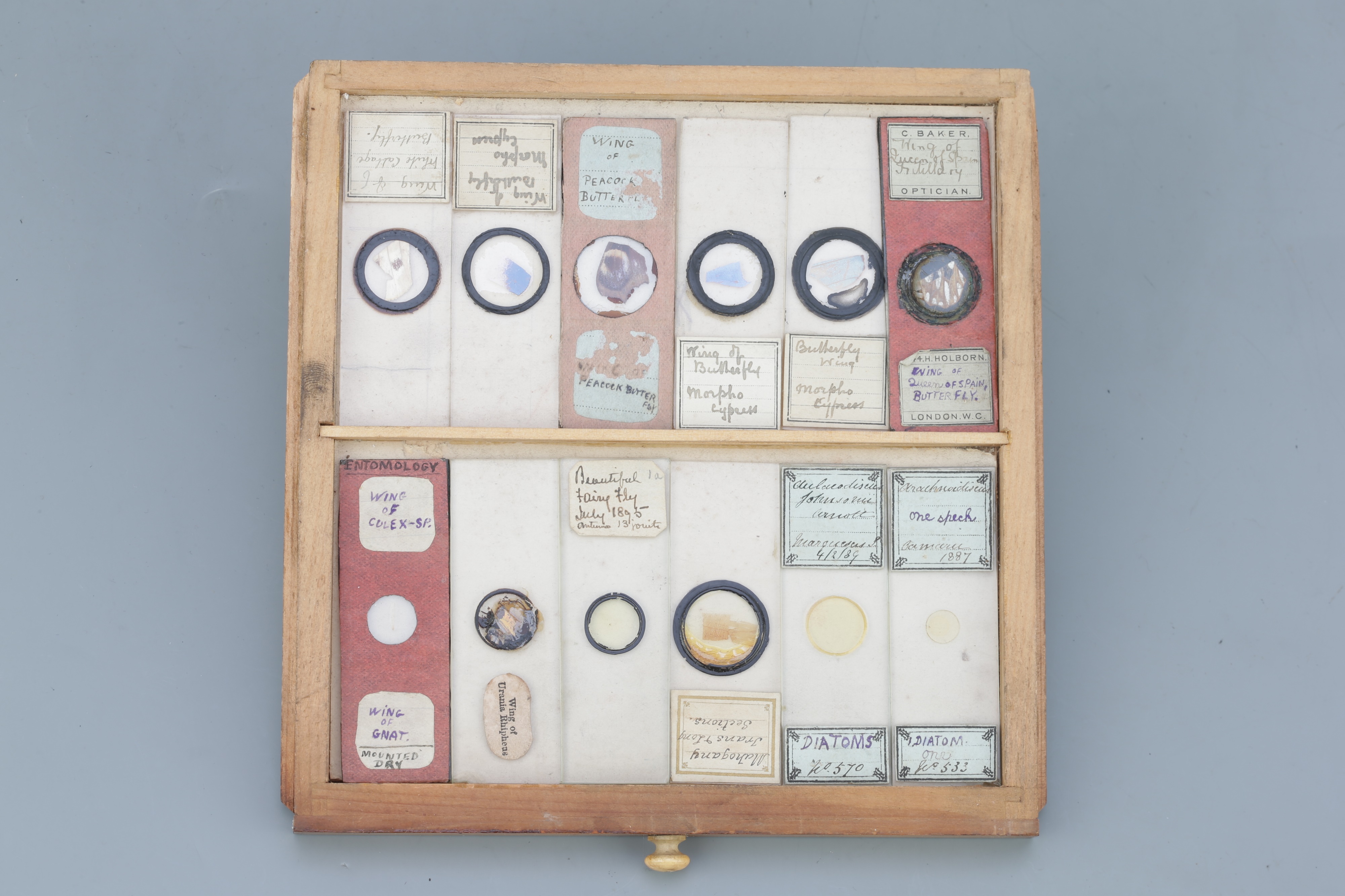 Small Cabinet of Microscope Slides, - Image 12 of 13