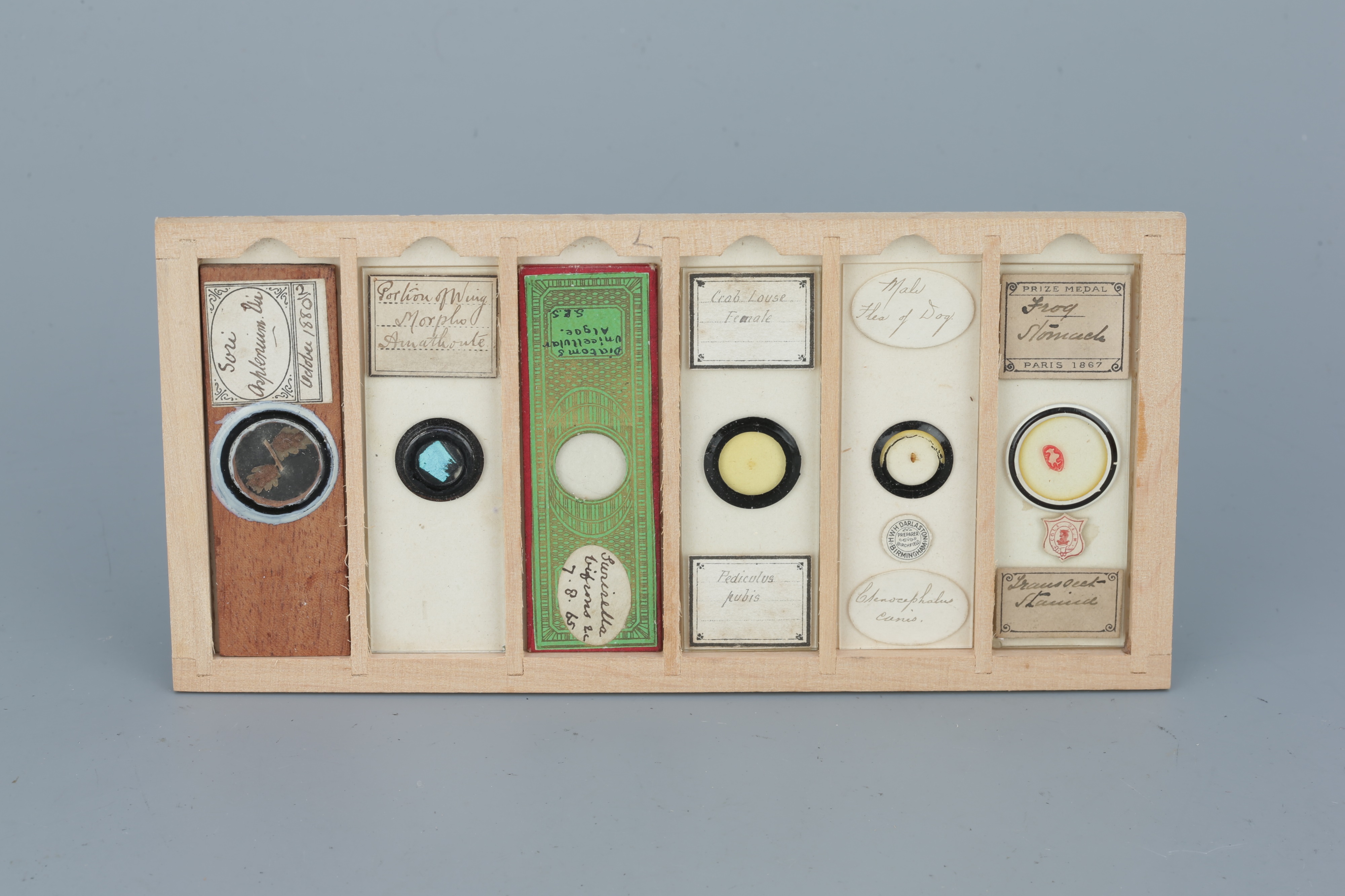 Two Cases of Microscope Slides, - Image 11 of 20