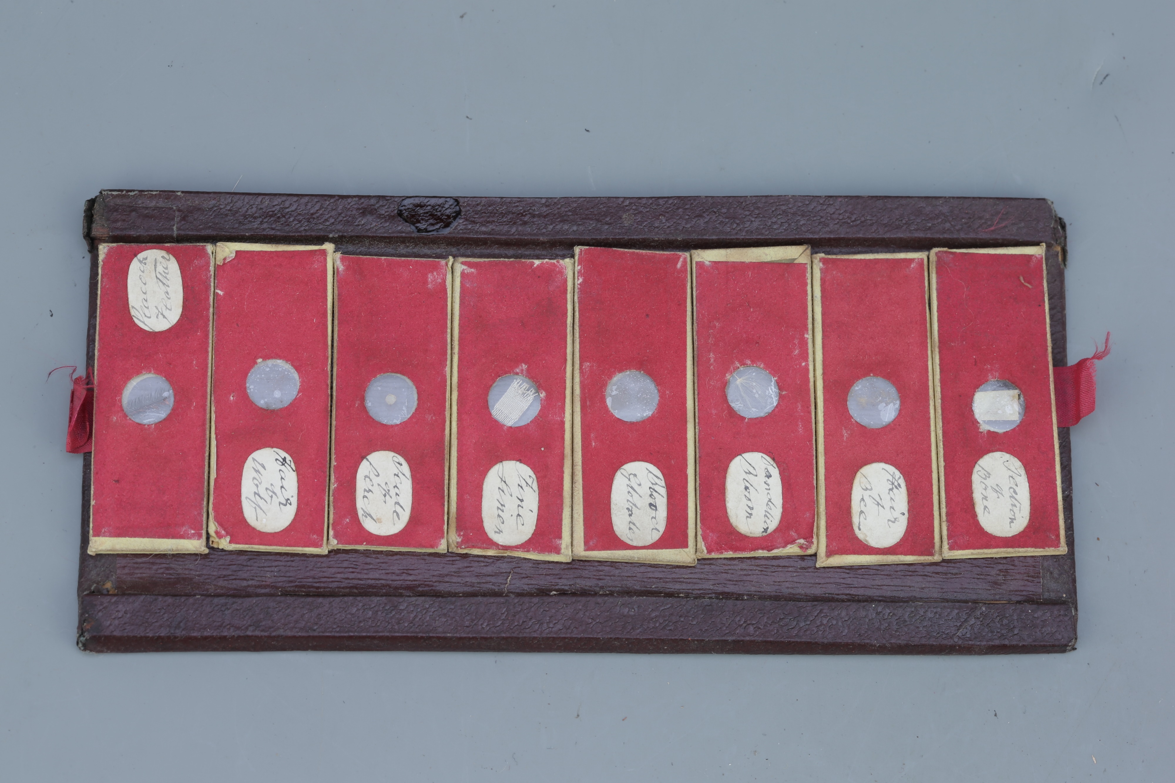 Early Leather Case of Microscope Slides, - Image 3 of 4