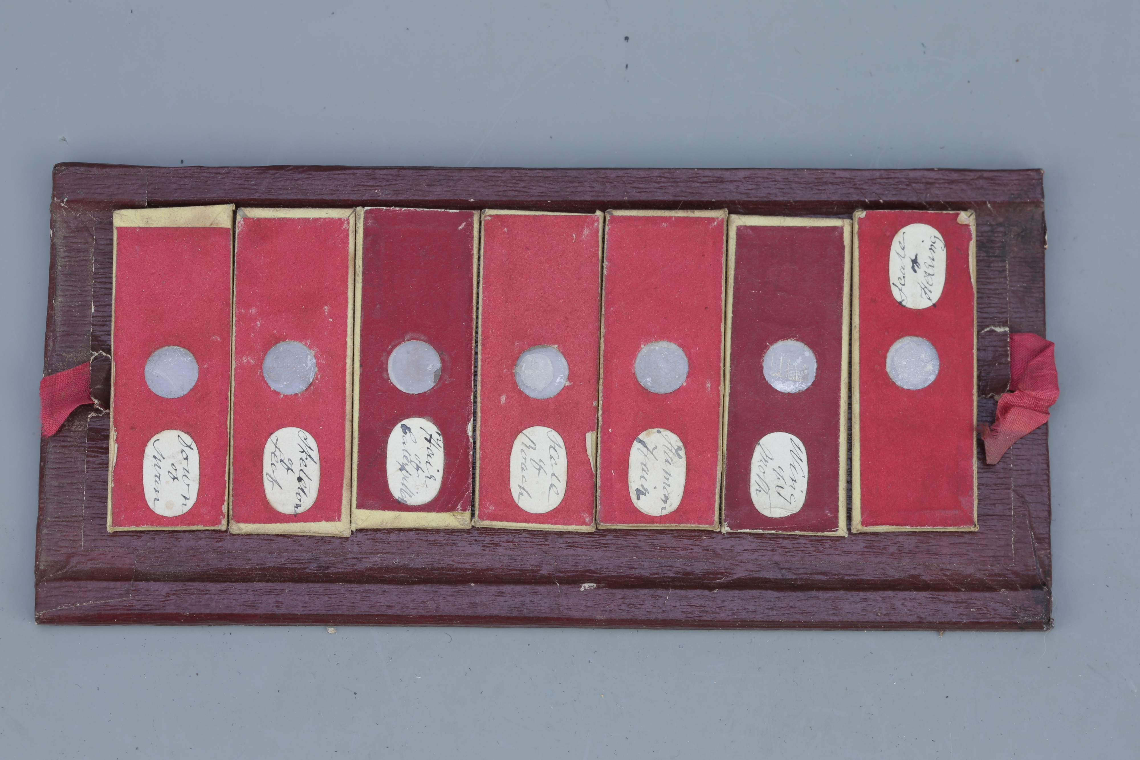 Early Leather Case of Microscope Slides, - Image 2 of 4