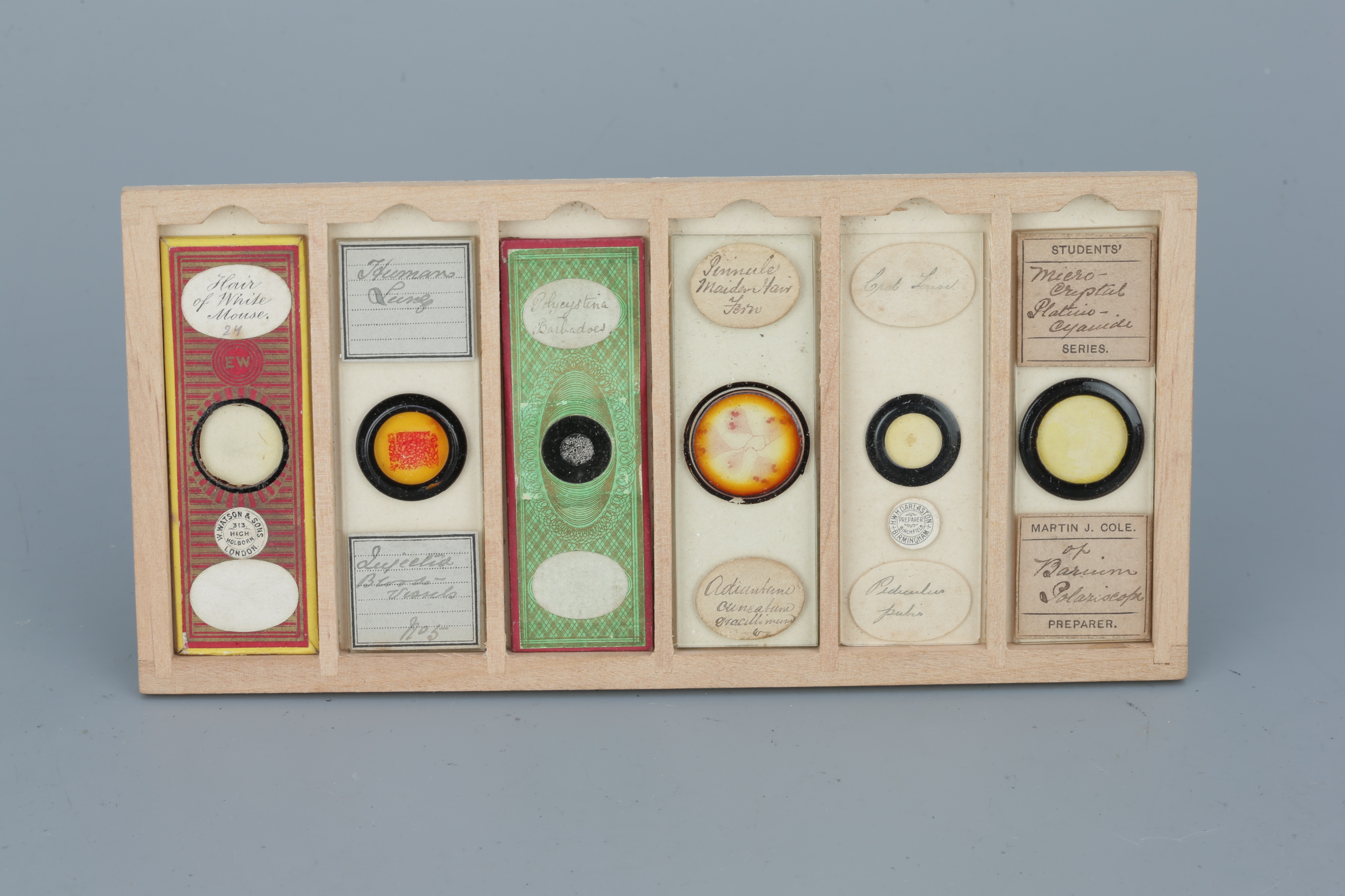 Two Cases of Microscope Slides, - Image 15 of 20
