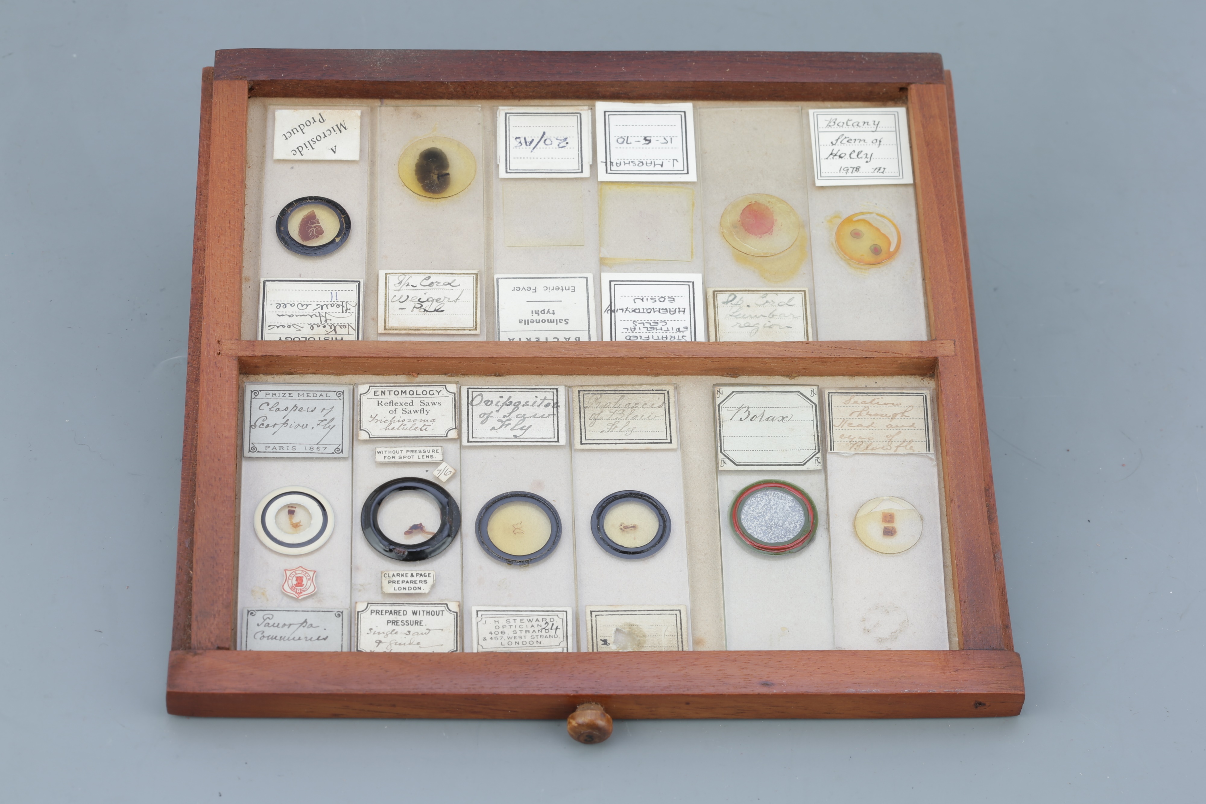 Microscope SlideCabinet & Slide Collection, - Image 13 of 15