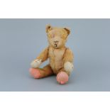 A Small British Teddy Bear,