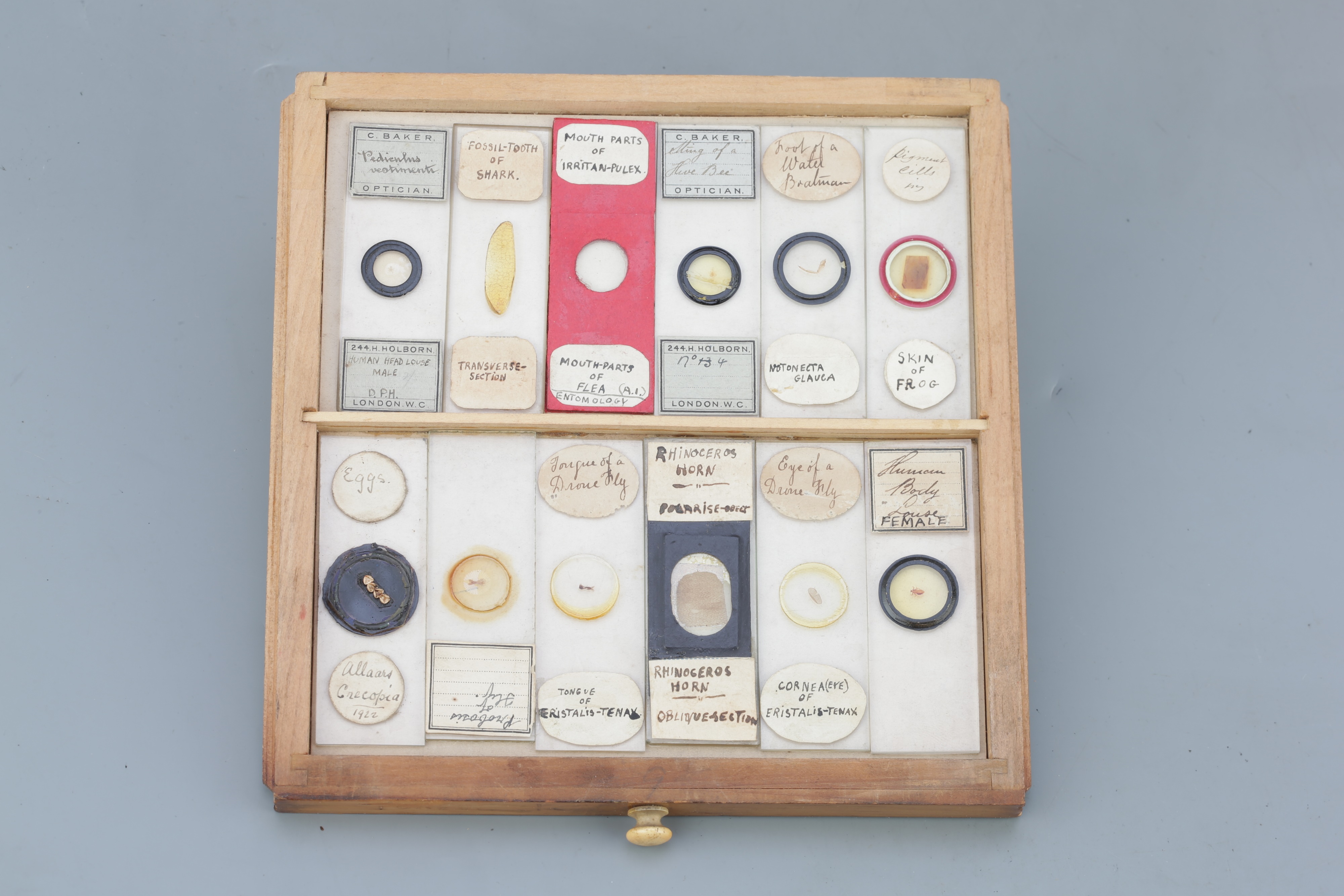 Small Cabinet of Microscope Slides, - Image 3 of 13