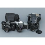 Three 35mm SLR Cameras