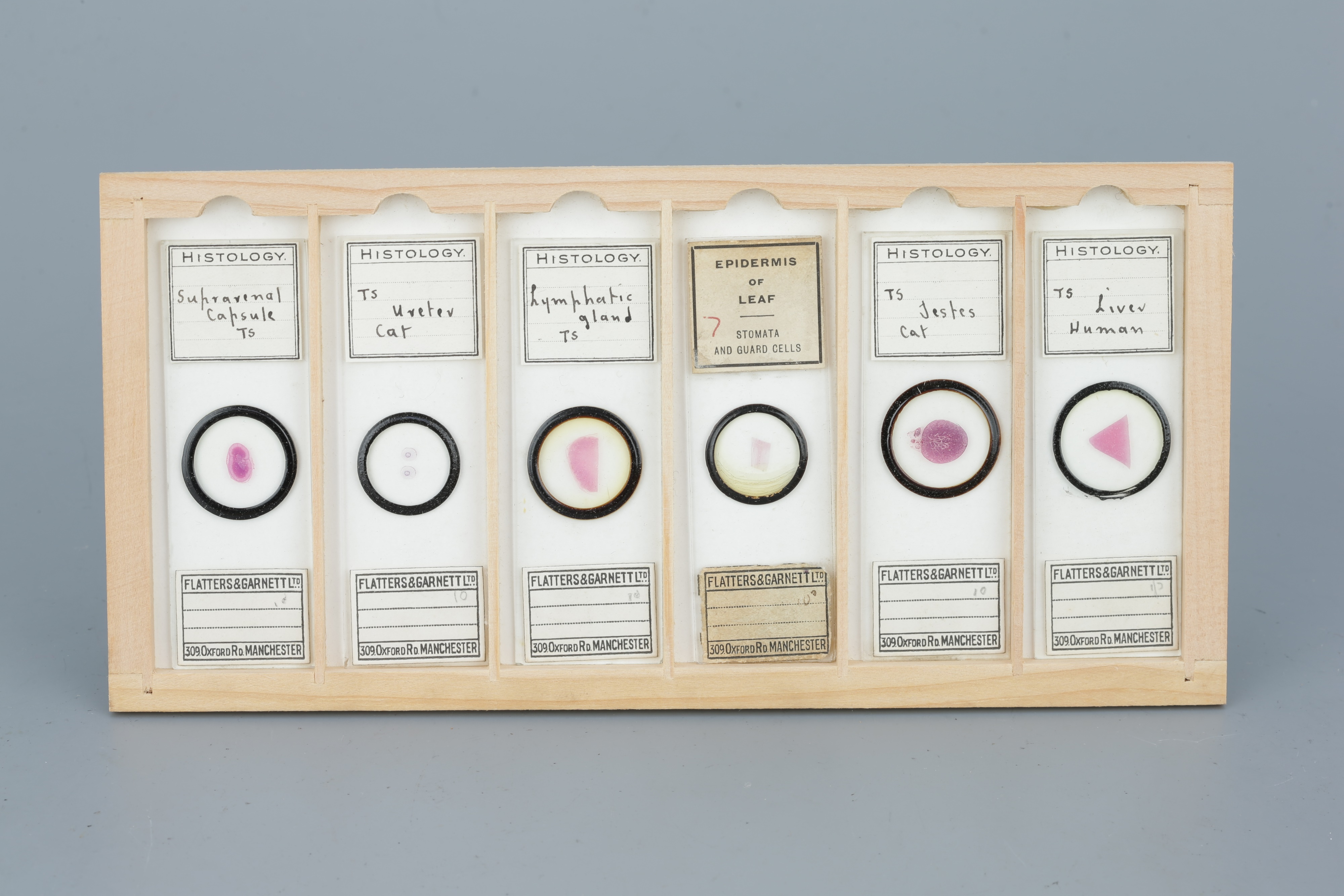 Two Cases of Microscope Slides, - Image 5 of 20