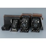 Three Folding Plate Cameras